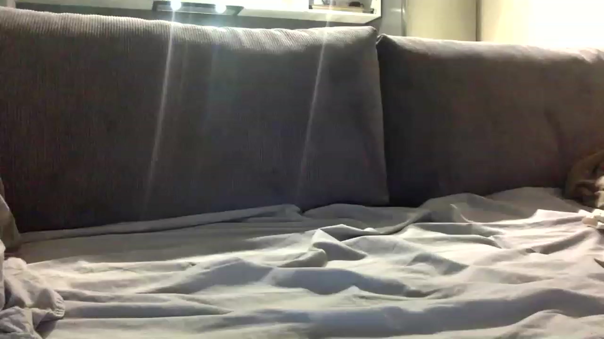 Gallery image thumbnail from EgoisticPuss's myfreecams stream on, 03/22/2023, 09:57 image 11 of 20