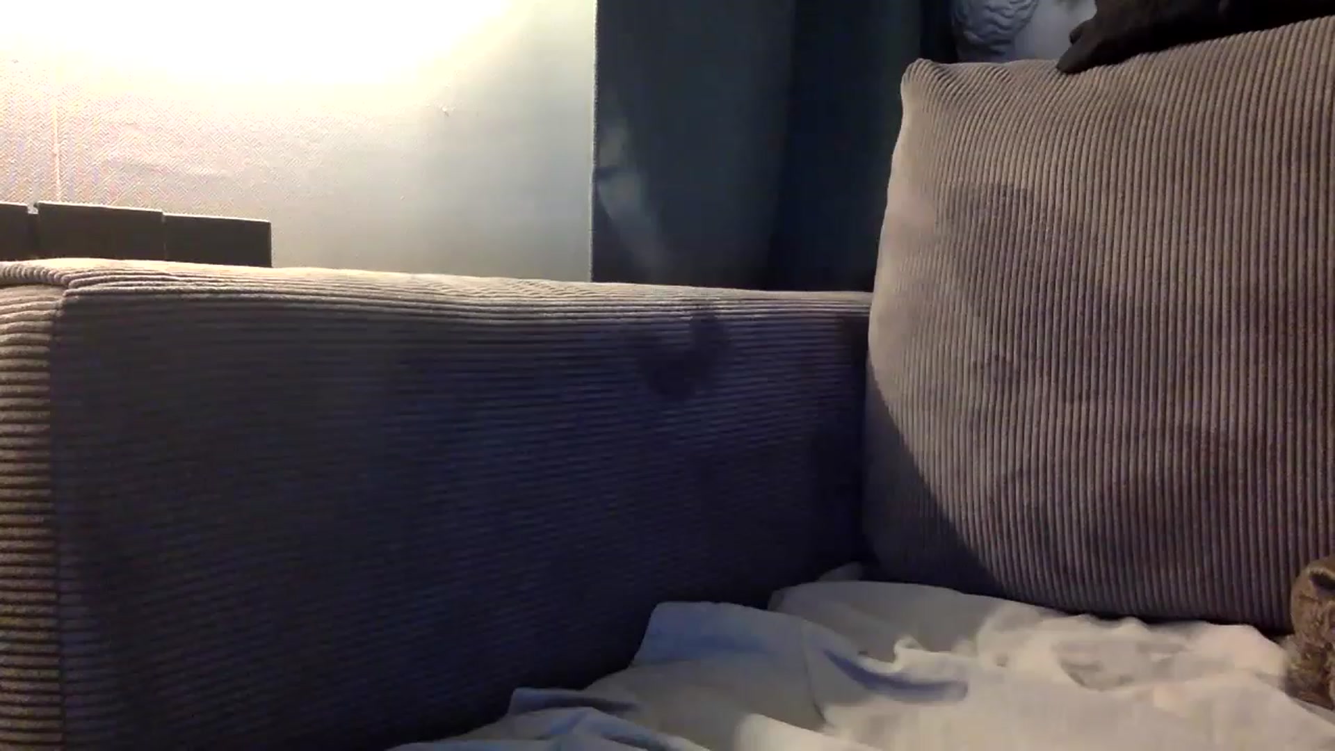 Gallery image thumbnail from EgoisticPuss's myfreecams stream on, 06/11/2023, 20:30 image 20 of 20