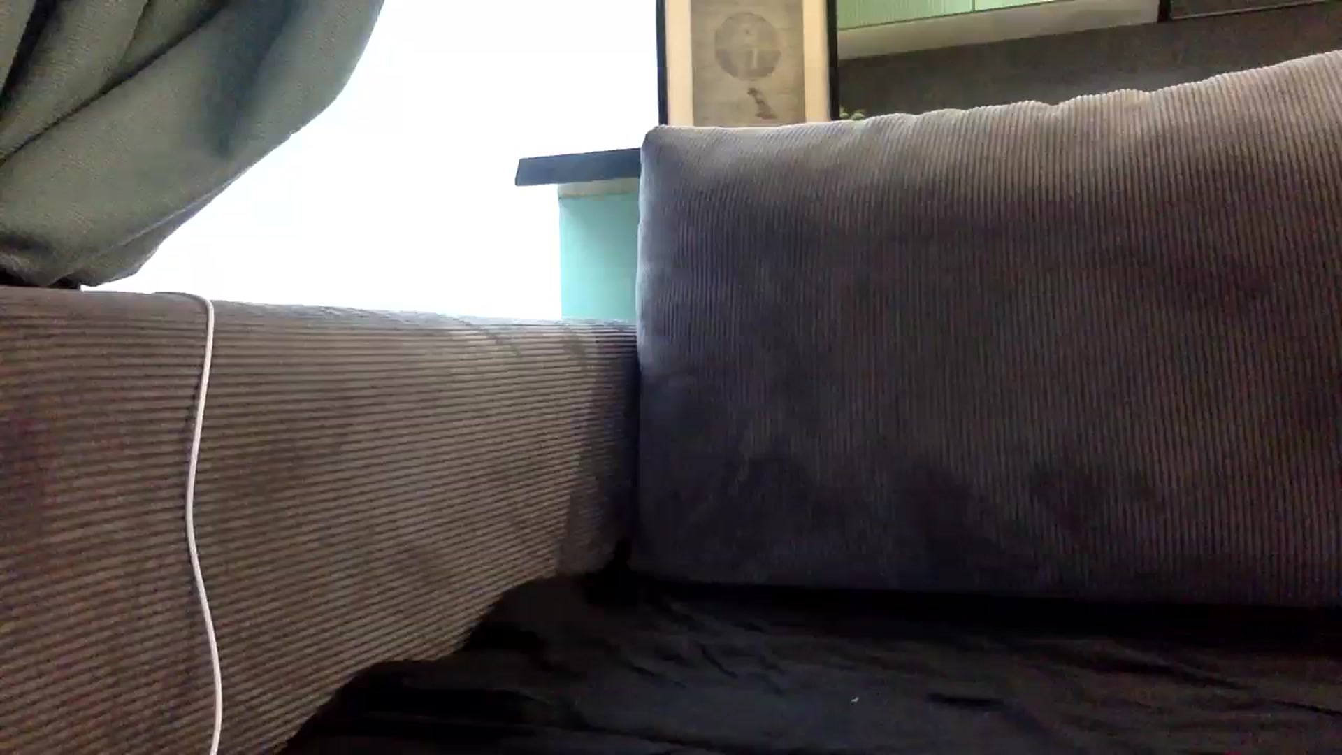 Gallery image thumbnail from EgoisticPuss's myfreecams stream on, 08/10/2023, 10:11 image 20 of 20