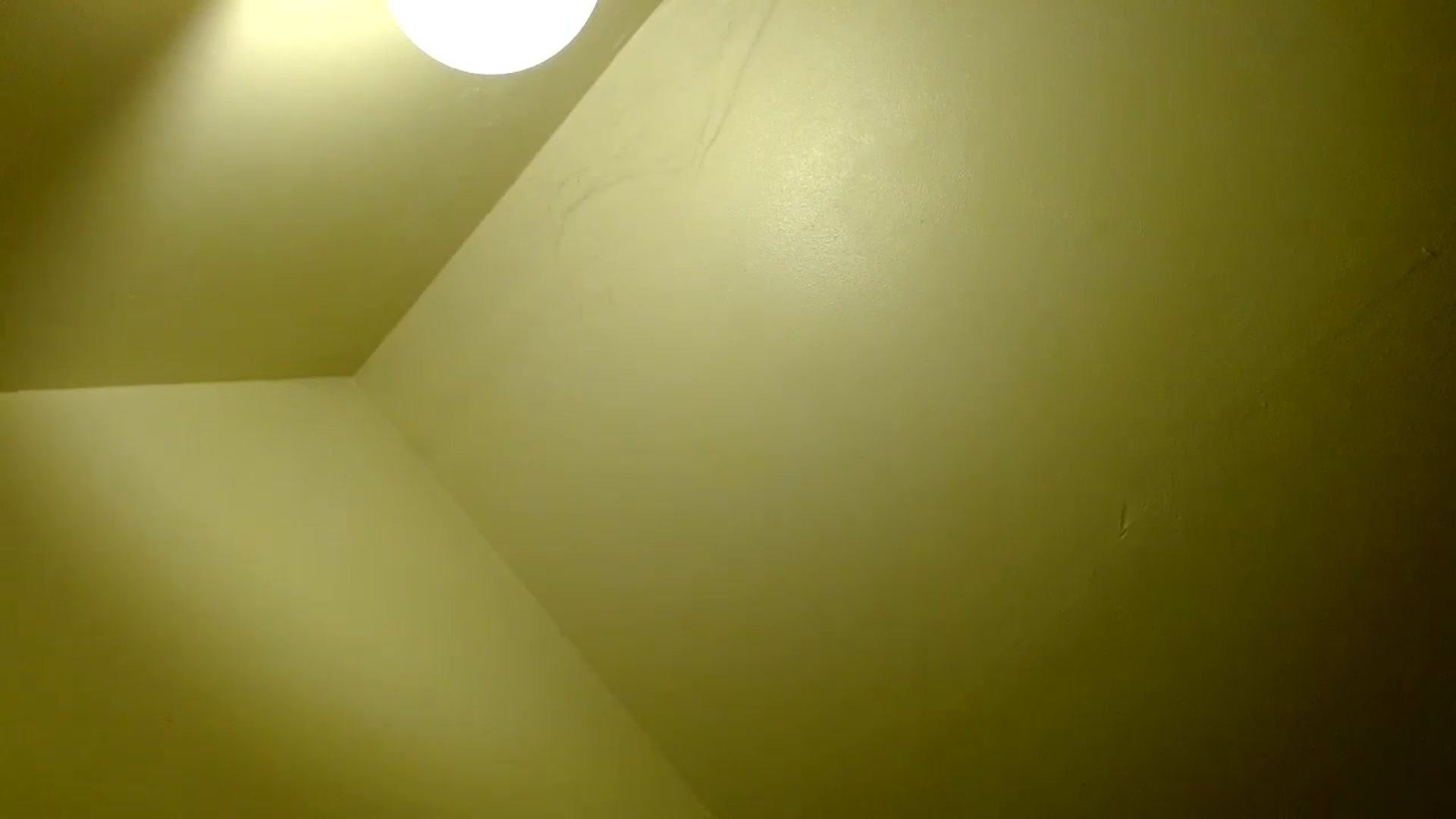 Gallery image thumbnail from EgyptBeauty's myfreecams stream on, 12/19/2024, 03:46 image 13 of 20