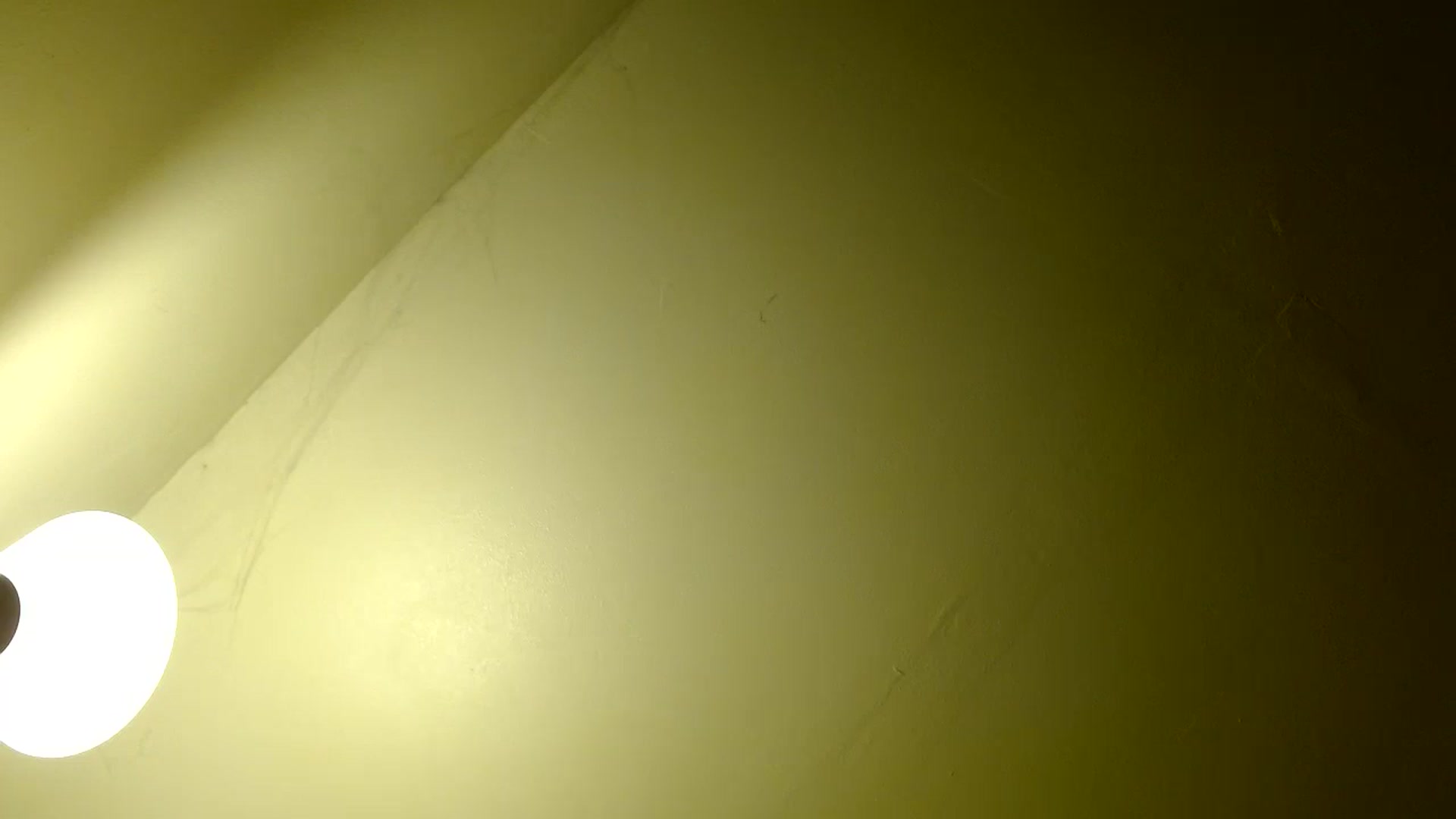 Gallery image thumbnail from EgyptBeauty's myfreecams stream on, 03/09/2025, 09:10 image 2 of 20