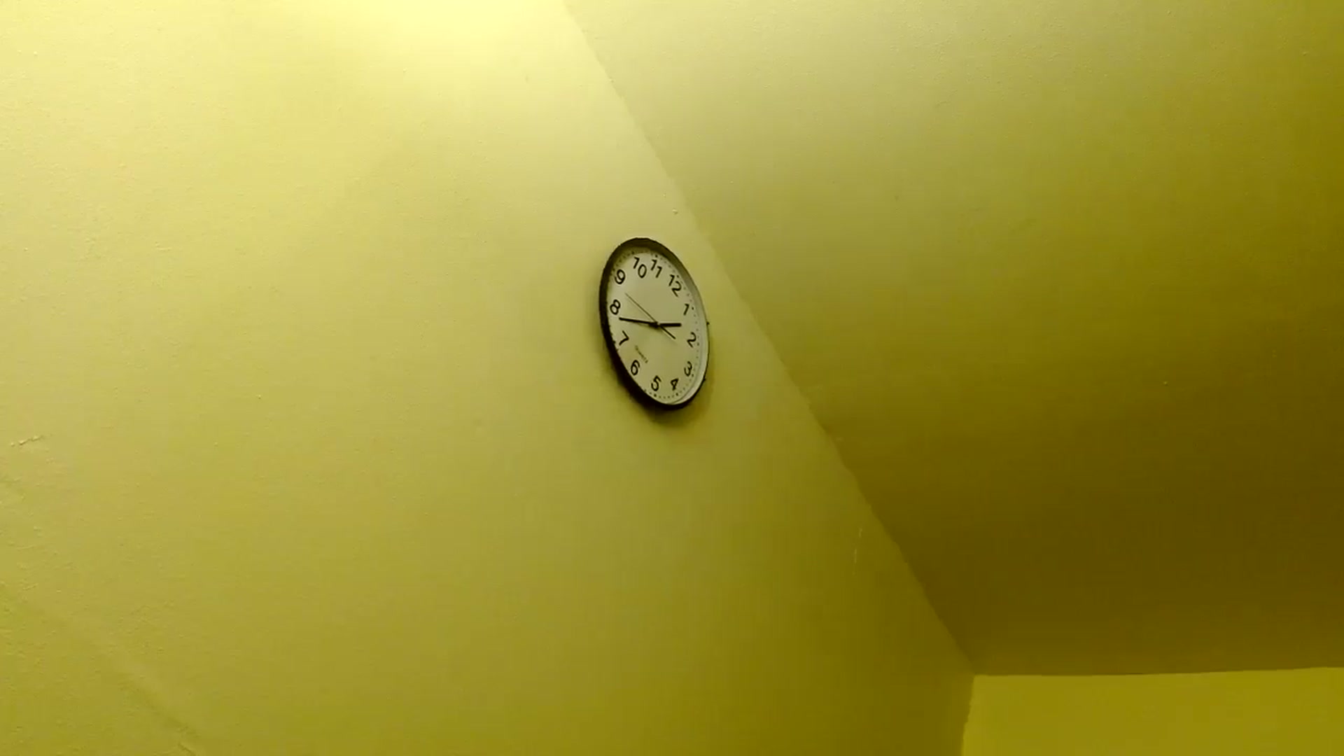Gallery image thumbnail from EgyptBeauty's myfreecams stream on, 03/21/2025, 08:47 image 10 of 20