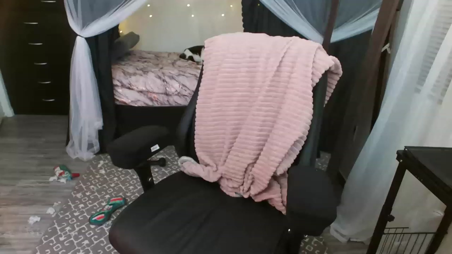 Gallery image thumbnail from Eight_Bit's myfreecams stream on, 12/30/2022, 05:05 image 20 of 20