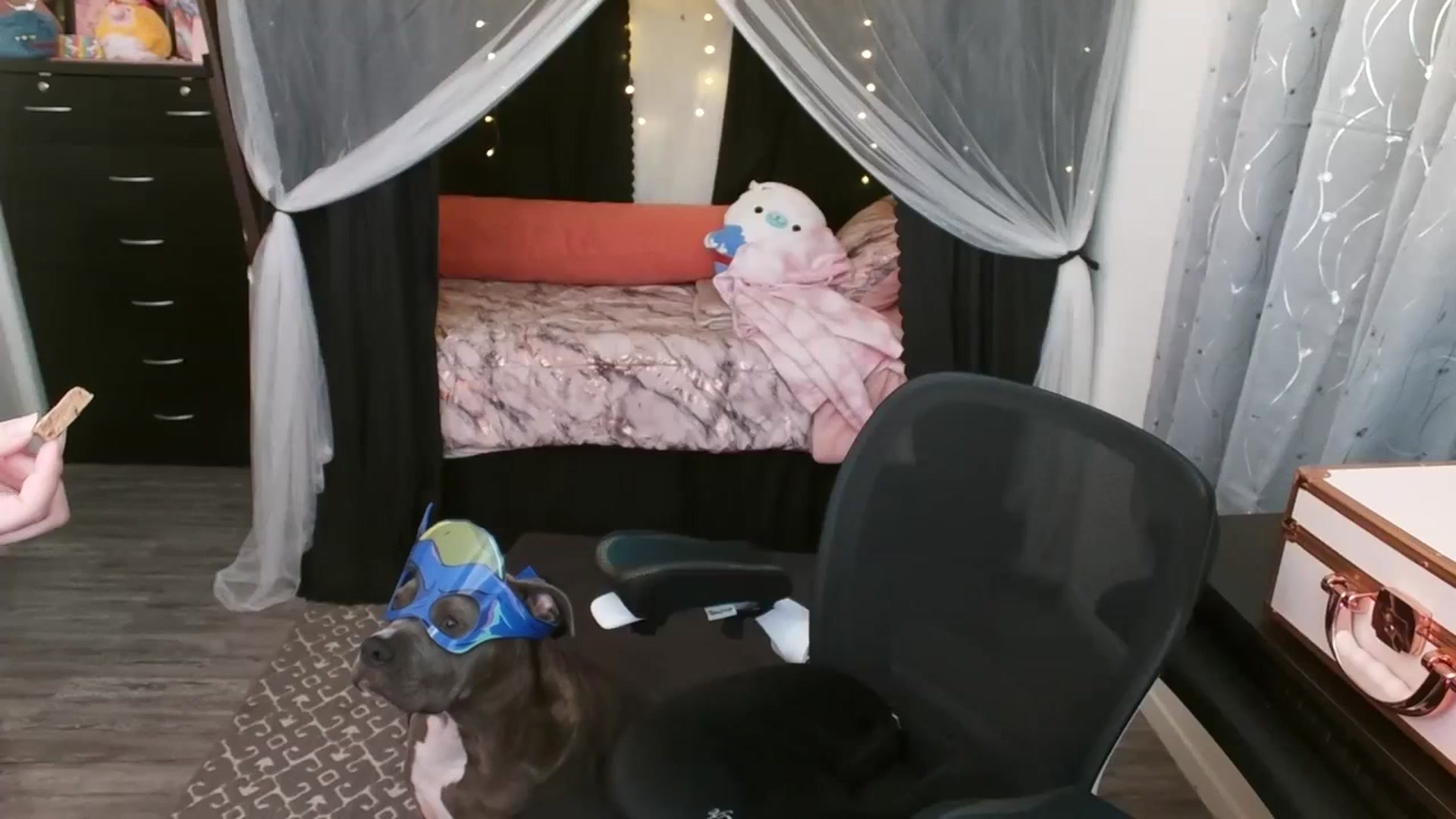 Gallery image thumbnail from Eight_Bit's myfreecams stream on, 08/25/2023, 06:11 image 4 of 20