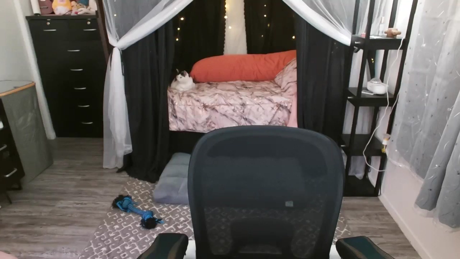 Gallery image thumbnail from Eight_Bit's myfreecams stream on, 12/06/2023, 06:46 image 13 of 20
