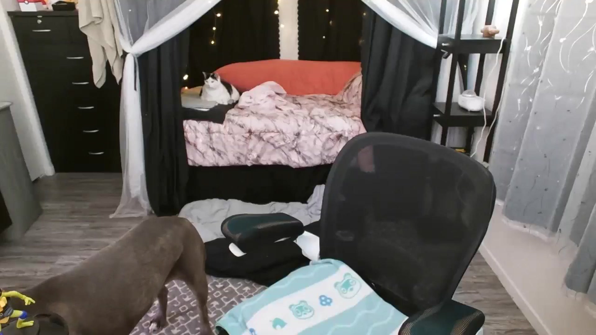 Gallery image thumbnail from Eight_Bit's myfreecams stream on, 12/24/2023, 07:20 image 3 of 20
