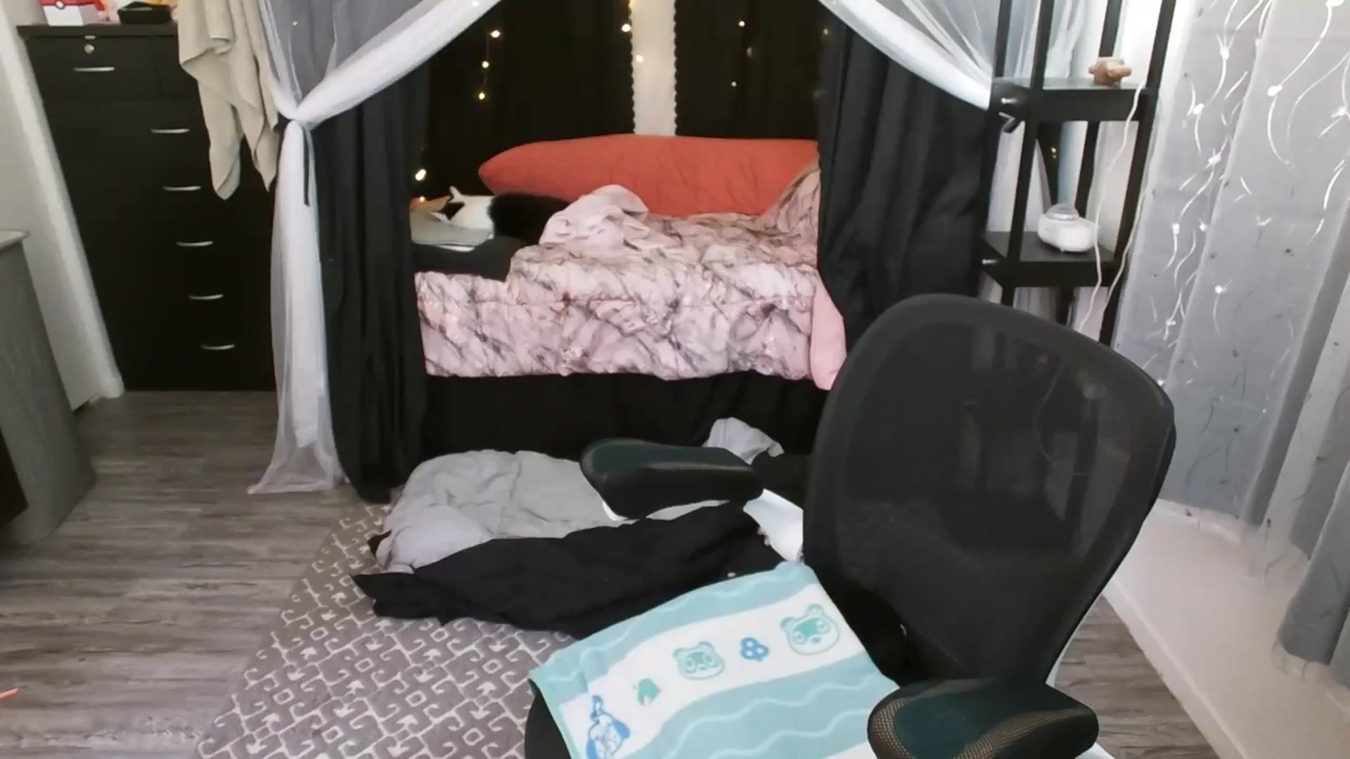 Gallery image thumbnail from Eight_Bit's myfreecams stream on, 12/24/2023, 07:20 image 12 of 20