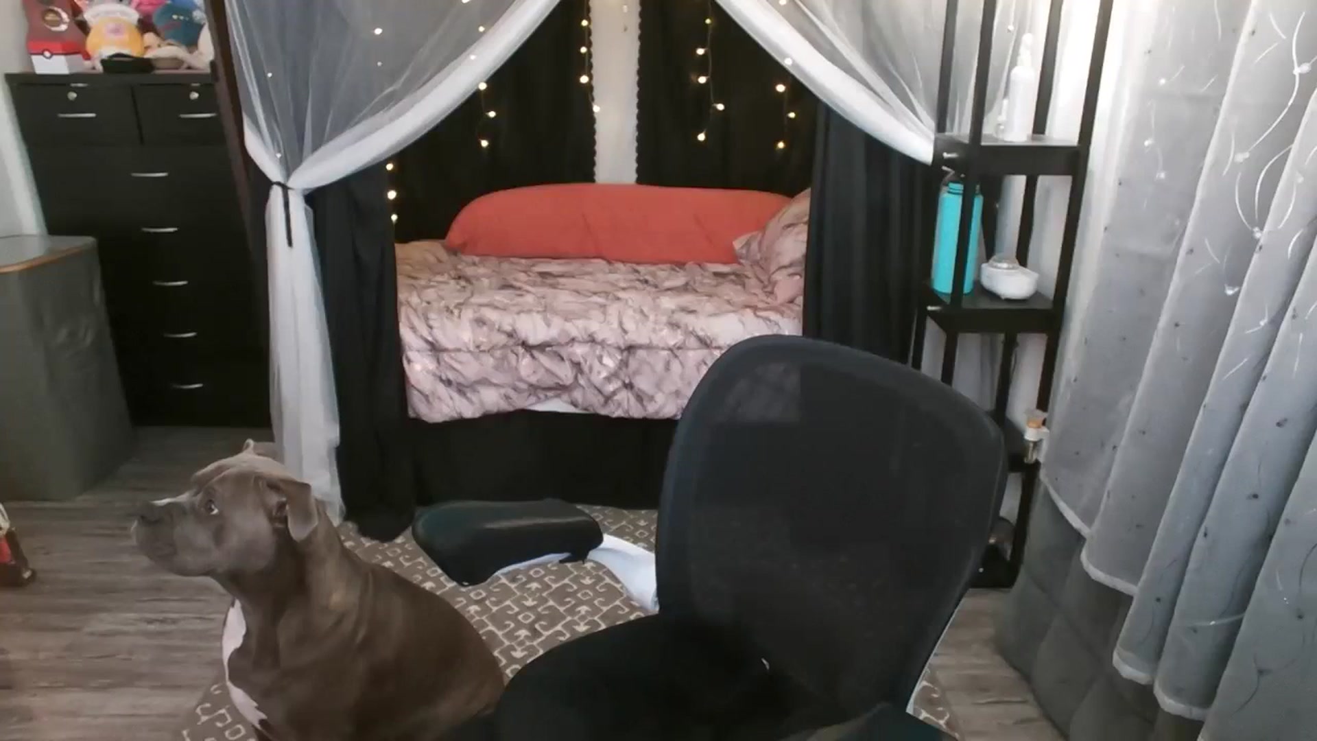 Gallery image thumbnail from Eight_Bit's myfreecams stream on, 02/10/2024, 08:49 image 3 of 20