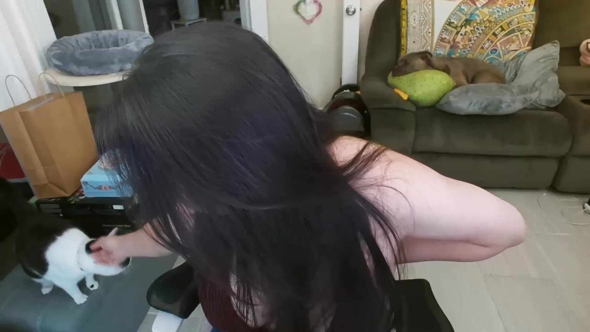 Gallery image thumbnail from Eight_Bit's myfreecams stream on, 02/09/2025, 08:36 image 5 of 20