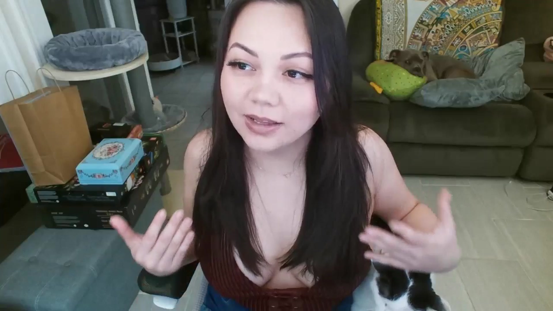 Gallery image thumbnail from Eight_Bit's myfreecams stream on, 02/09/2025, 08:36 image 9 of 20