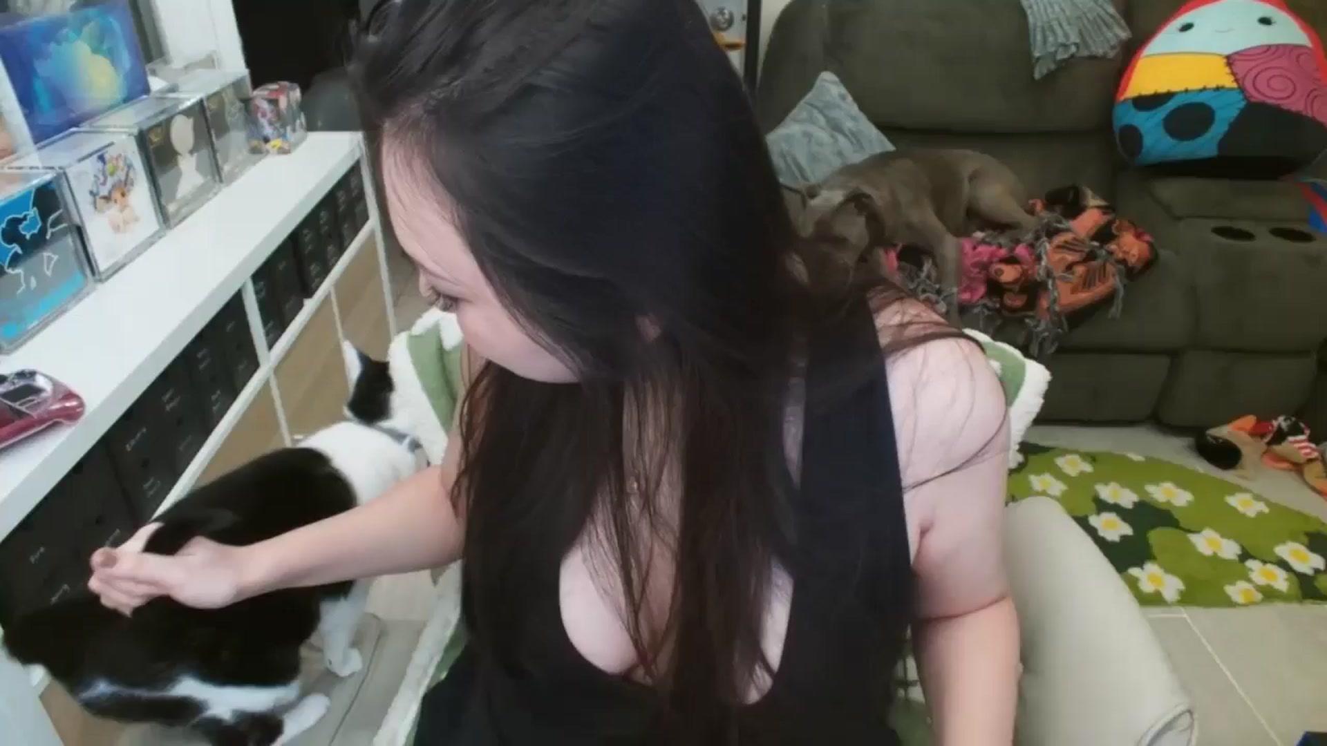 Gallery image thumbnail from Eight_Bit's myfreecams stream on, 10/04/2025, 05:09 image 2 of 20