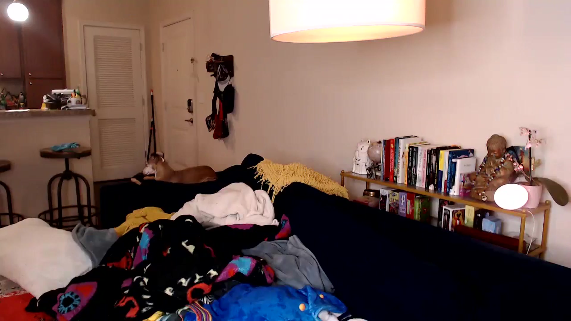 Gallery image thumbnail from ElFupaChalupa's myfreecams stream on, 07/31/2024, 02:58 image 19 of 20