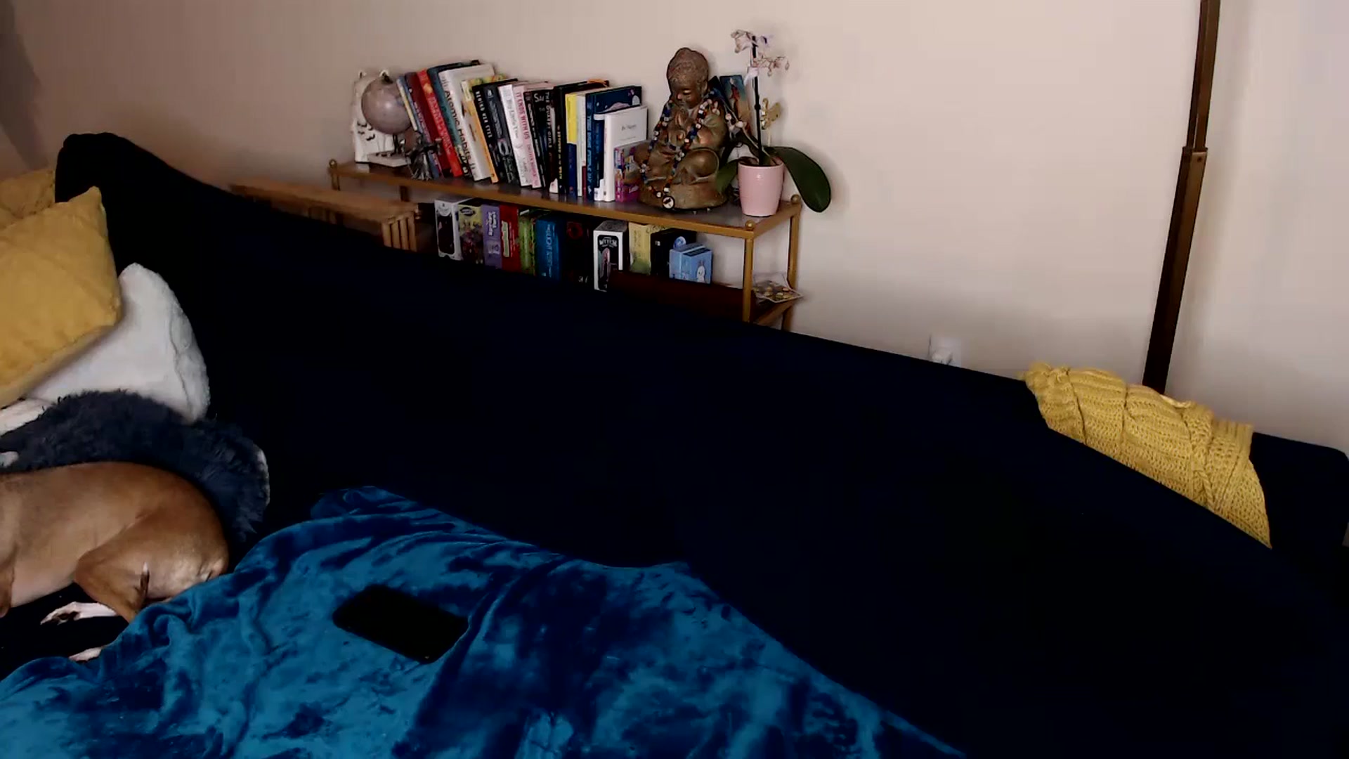 Gallery image thumbnail from ElFupaChalupa's myfreecams stream on, 08/14/2024, 01:29 image 19 of 20