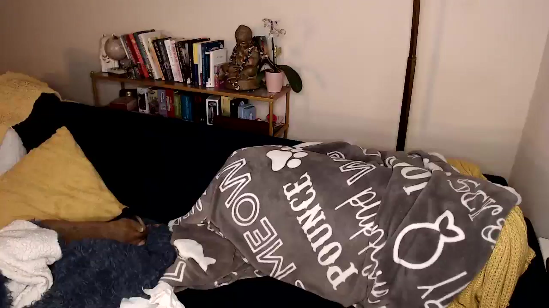 Gallery image thumbnail from ElFupaChalupa's myfreecams stream on, 08/17/2024, 04:11 image 18 of 20