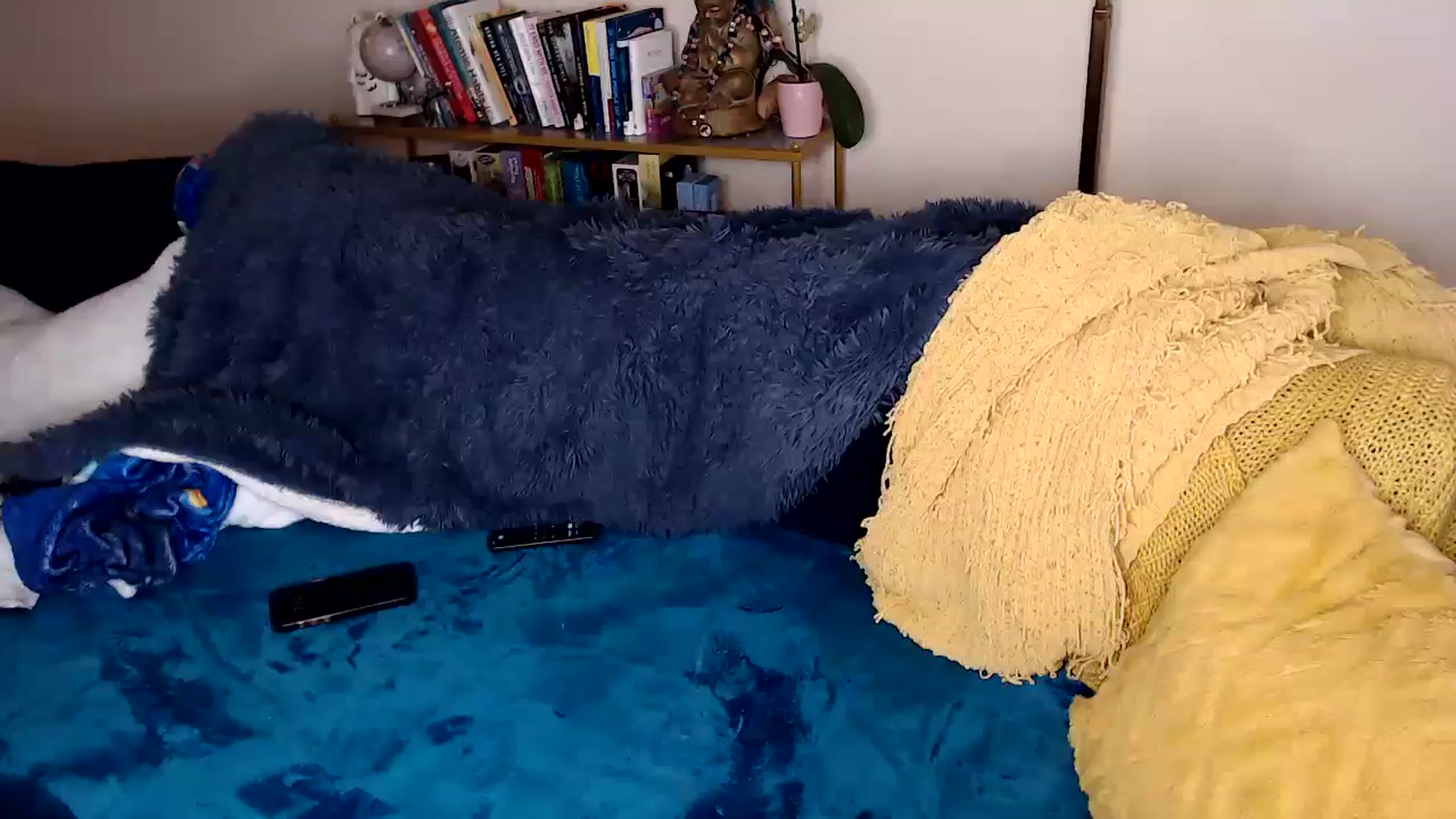 Gallery image thumbnail from ElFupaChalupa's myfreecams stream on, 09/11/2024, 24:00 image 16 of 20