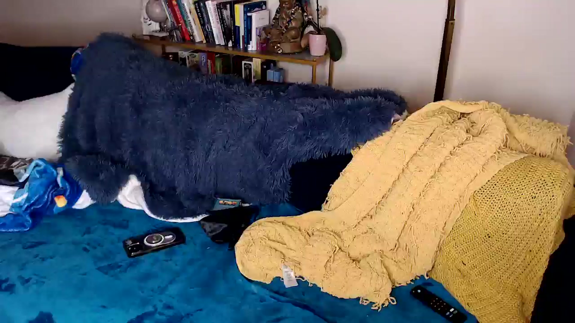 Gallery image thumbnail from ElFupaChalupa's myfreecams stream on, 09/11/2024, 03:20 image 8 of 20