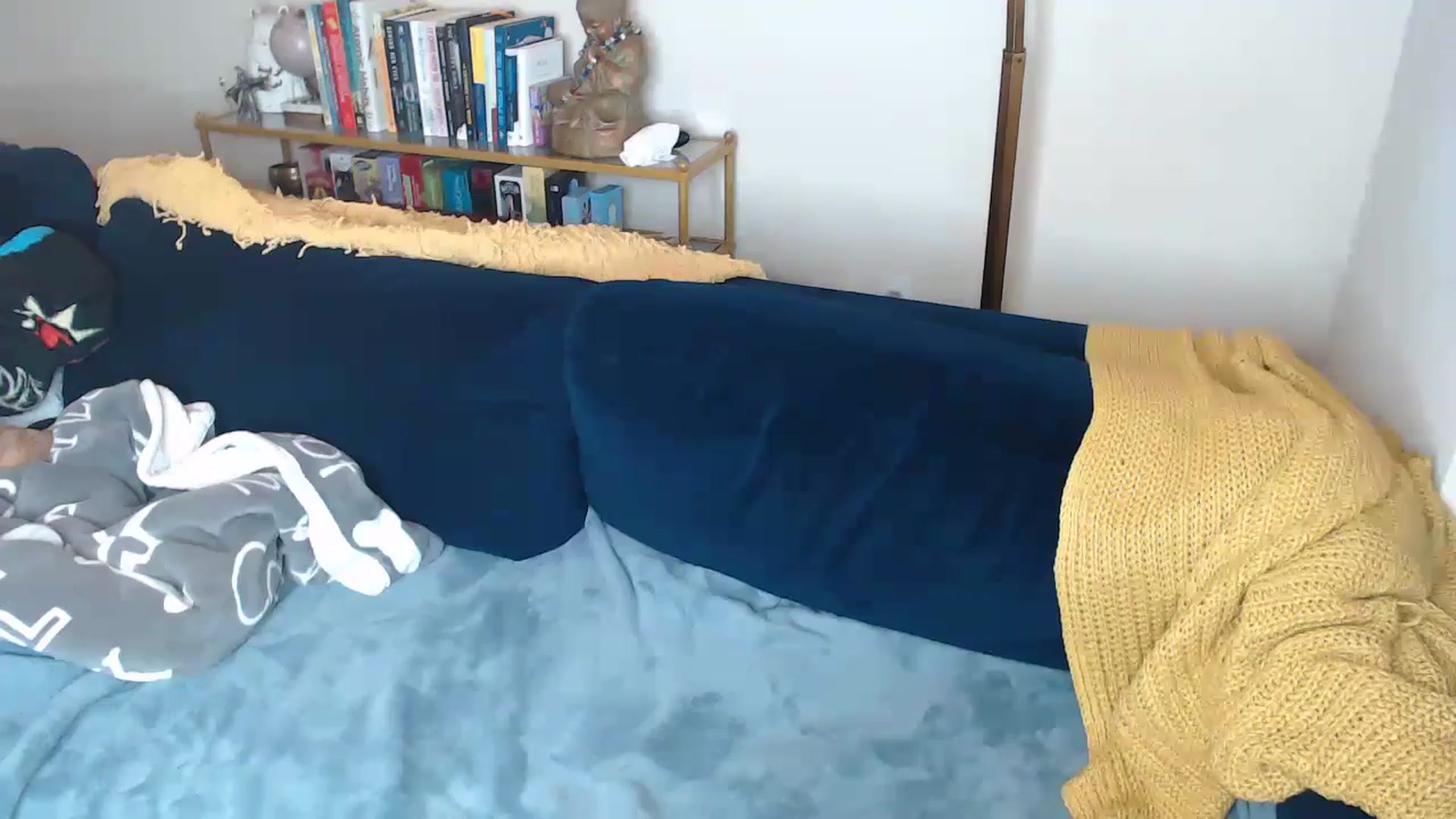 Gallery image thumbnail from ElFupaChalupa's myfreecams stream on, 09/15/2024, 23:38 image 20 of 20