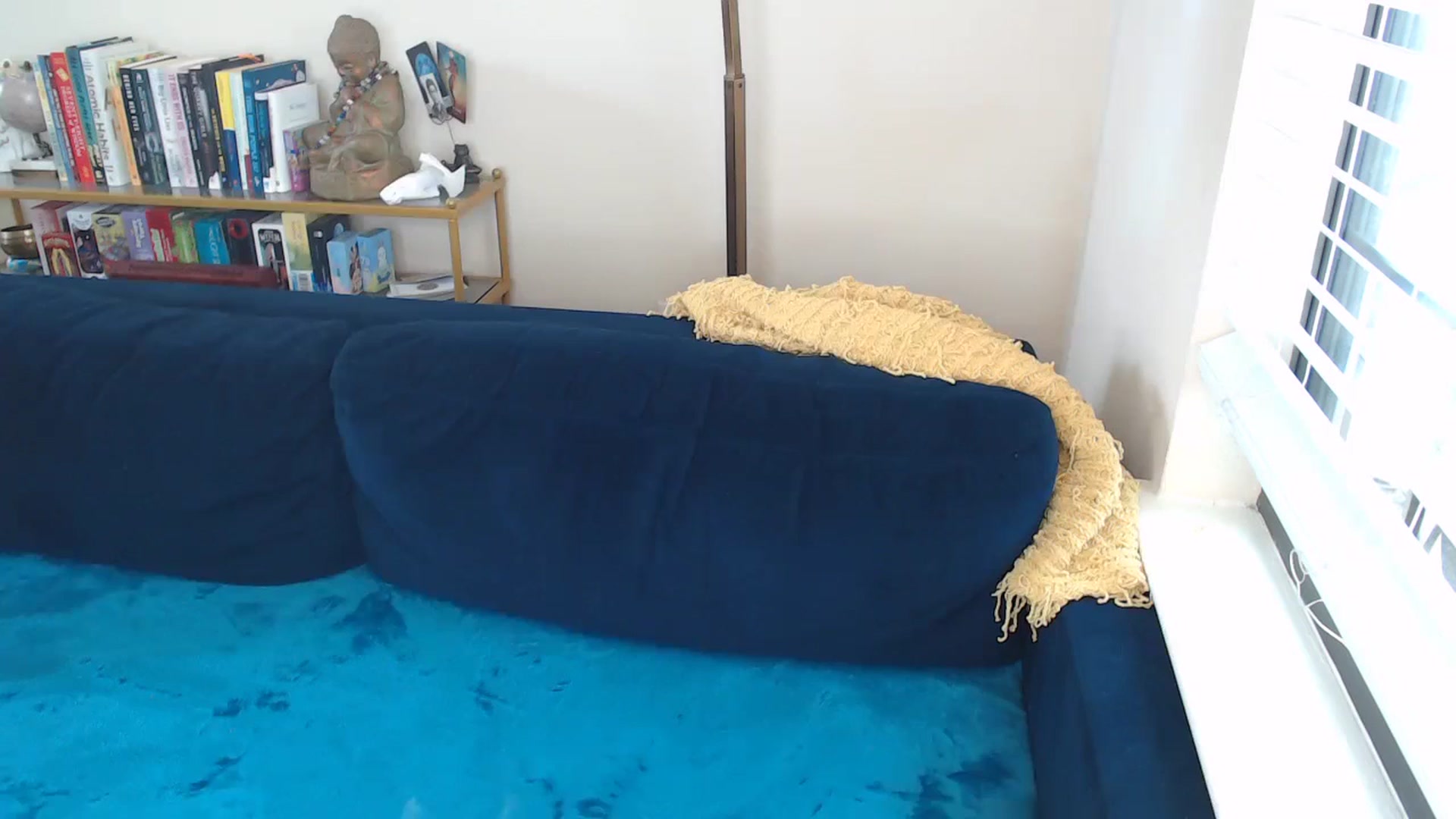 Gallery image thumbnail from ElFupaChalupa's myfreecams stream on, 10/05/2024, 21:21 image 12 of 20
