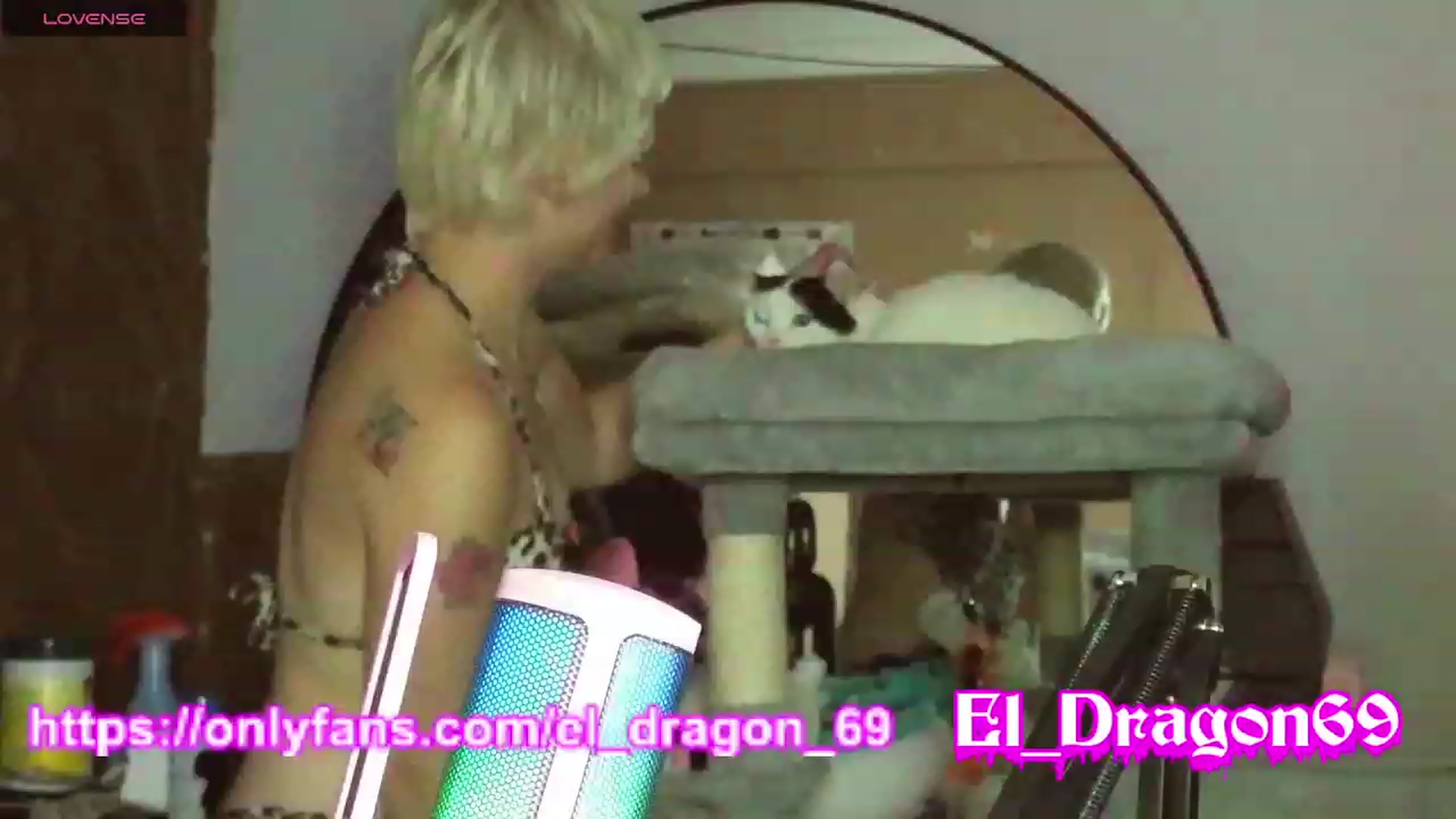 Gallery image thumbnail from El_Dragon69's myfreecams stream on, 08/27/2023, 13:07 image 3 of 20