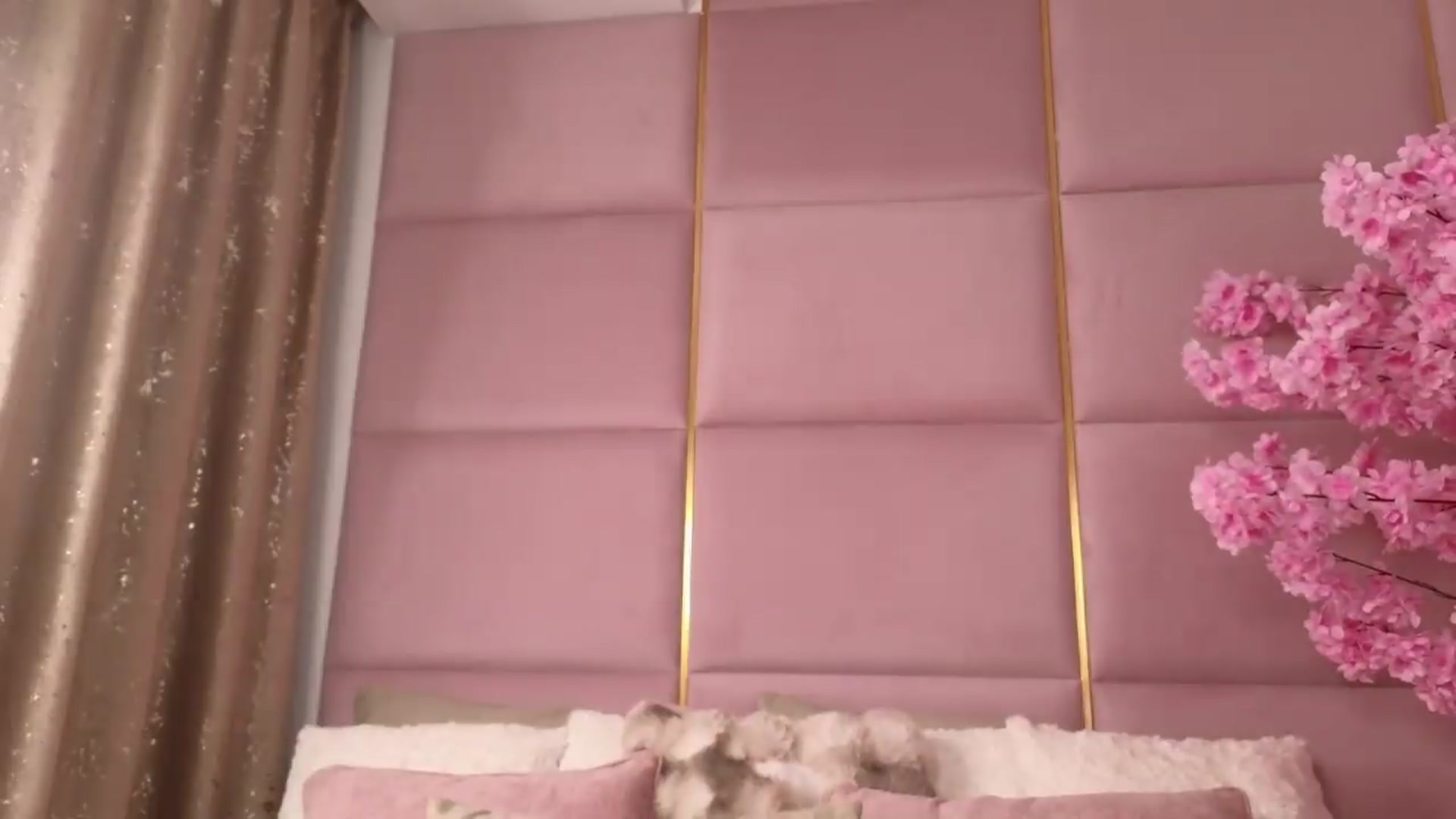 Gallery image thumbnail from ElaBlue's myfreecams stream on, 07/22/2026, 22:54 image 10 of 20