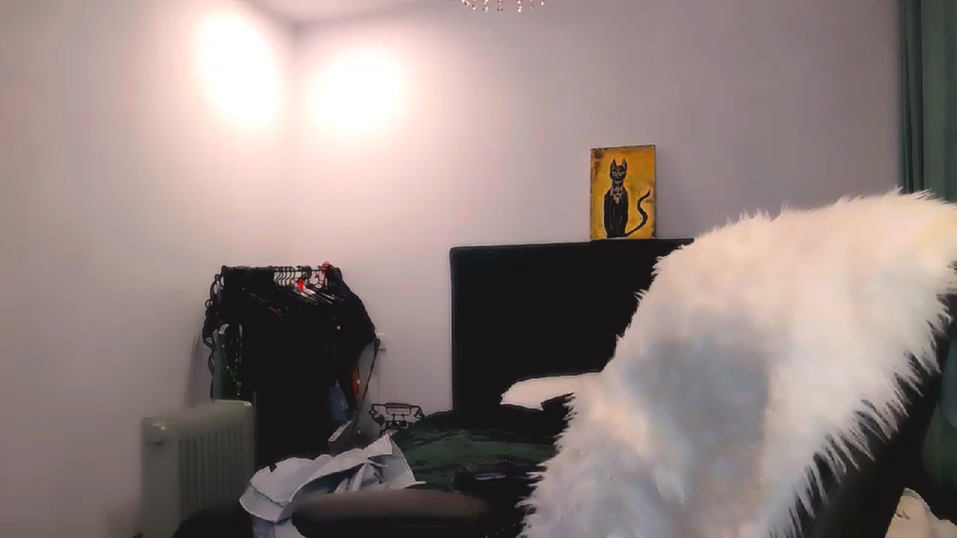 Gallery image thumbnail from Electra's myfreecams stream on, 04/24/2024, 23:46 image 10 of 20