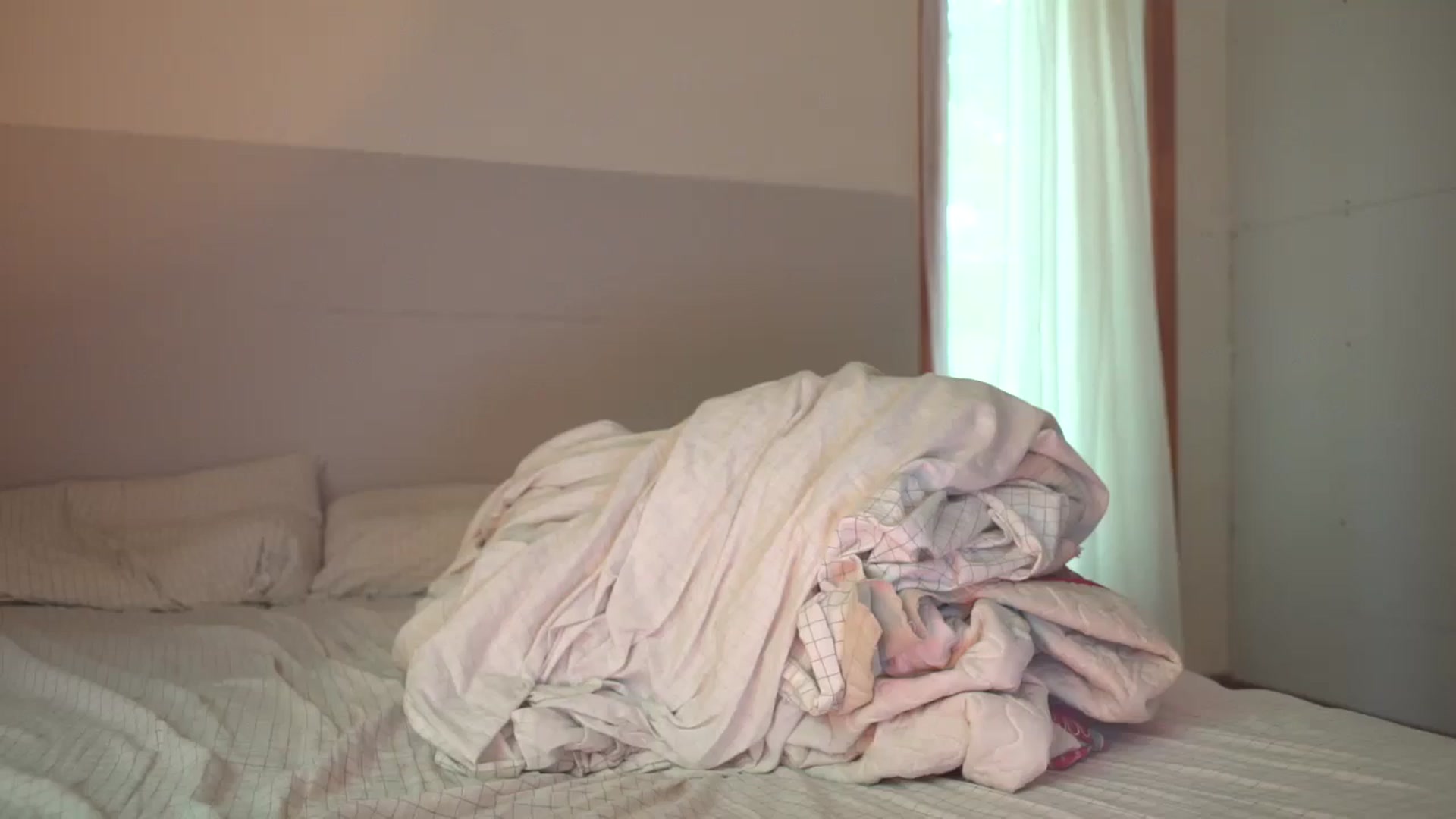Gallery image thumbnail from ElenaMint's myfreecams stream on, 08/23/2025, 19:55 image 7 of 20