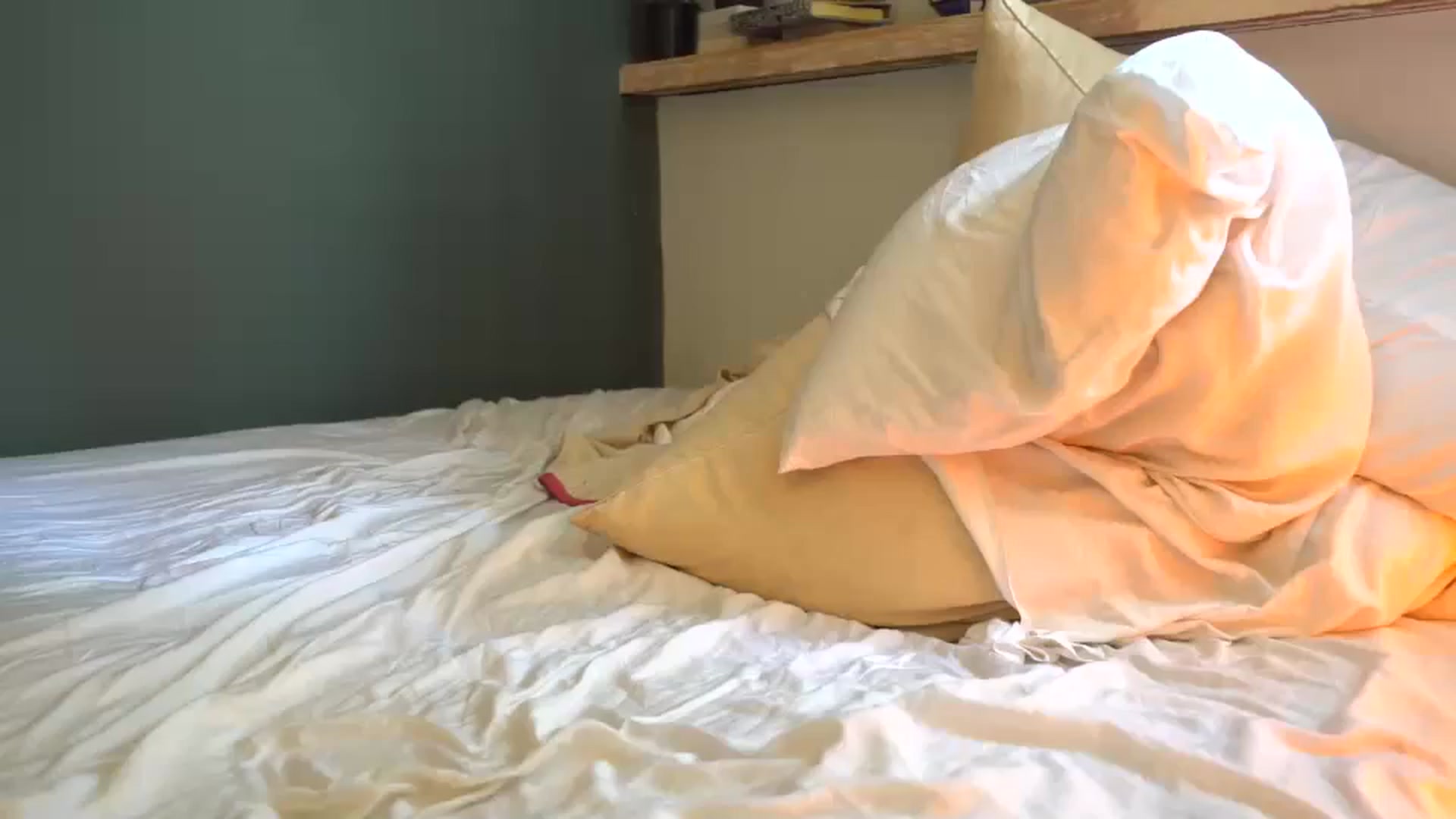Gallery image thumbnail from ElenaMint's myfreecams stream on, 09/01/2025, 20:33 image 14 of 20