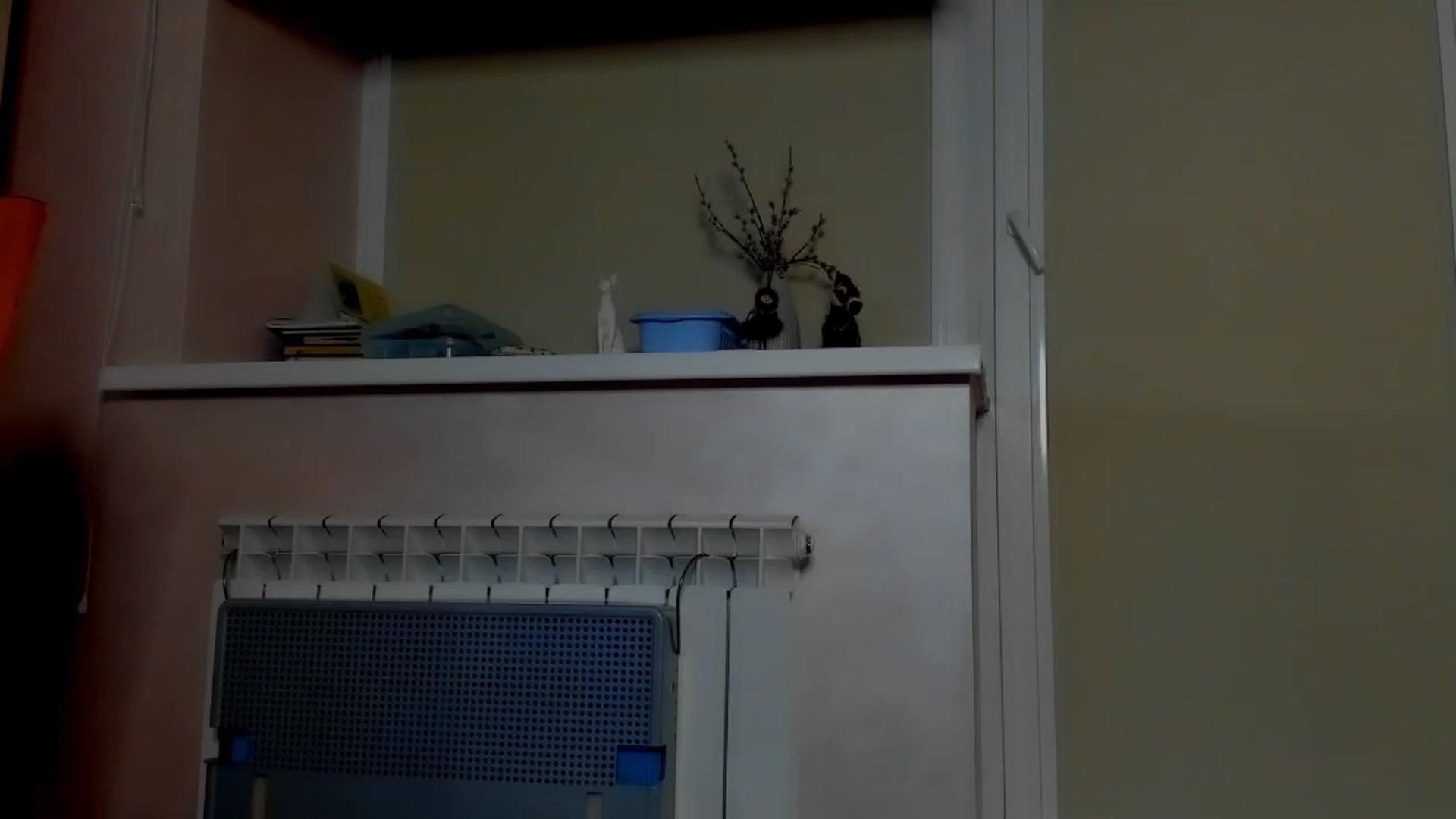 Gallery image thumbnail from Elenapre's myfreecams stream on, 01/31/2023, 09:12 image 12 of 20