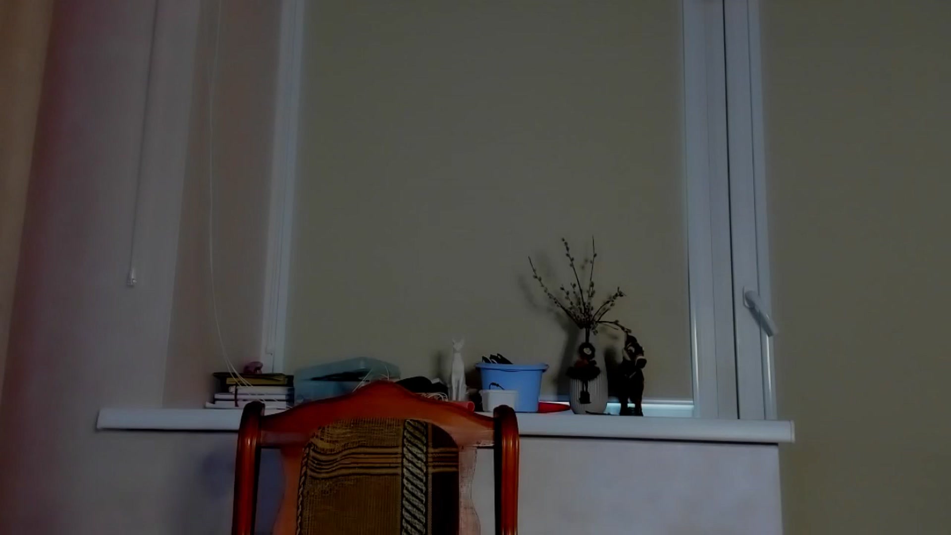 Gallery image thumbnail from Elenapre's myfreecams stream on, 03/11/2023, 08:21 image 16 of 20