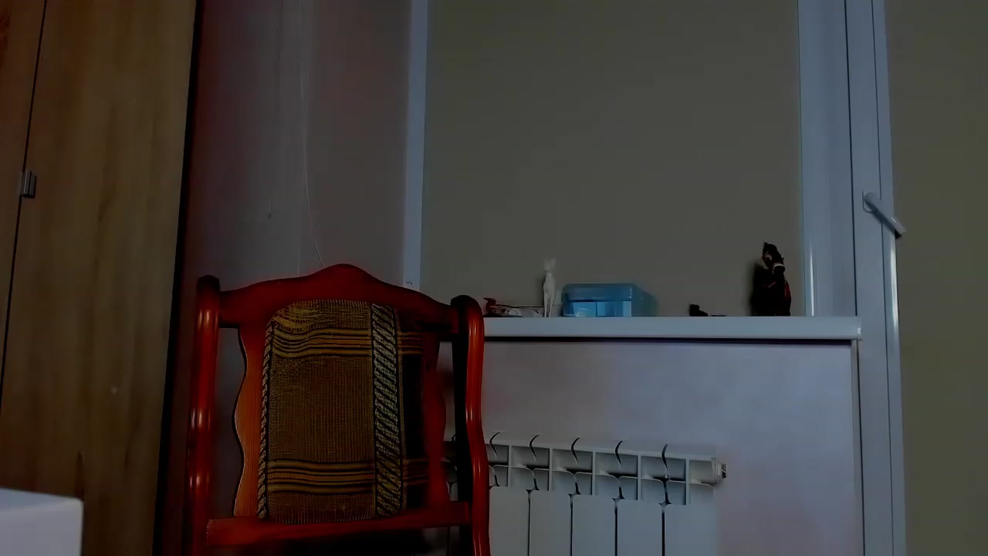 Gallery image thumbnail from Elenapre's myfreecams stream on, 04/19/2023, 08:56 image 13 of 20