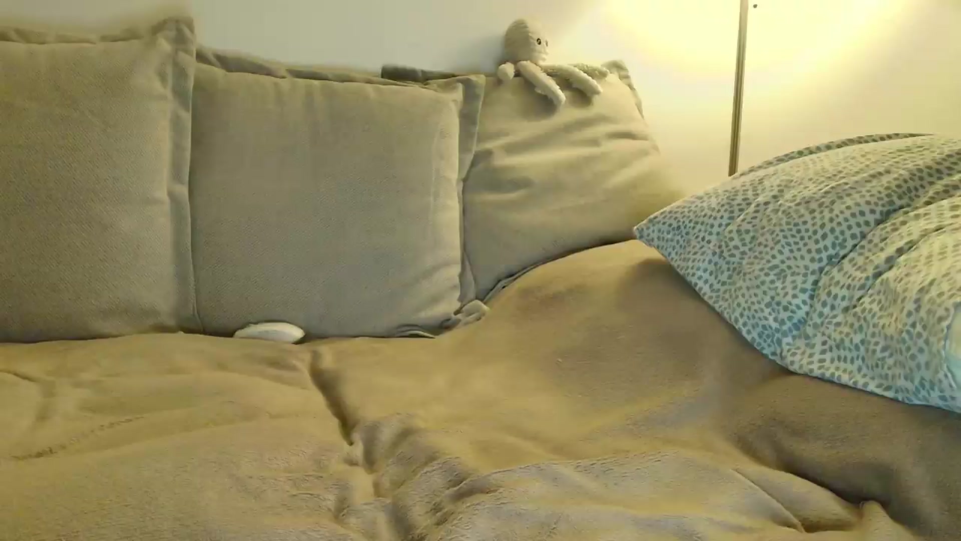 Gallery image thumbnail from Elenaxkiss's myfreecams stream on, 08/10/2026, 20:34 image 20 of 20