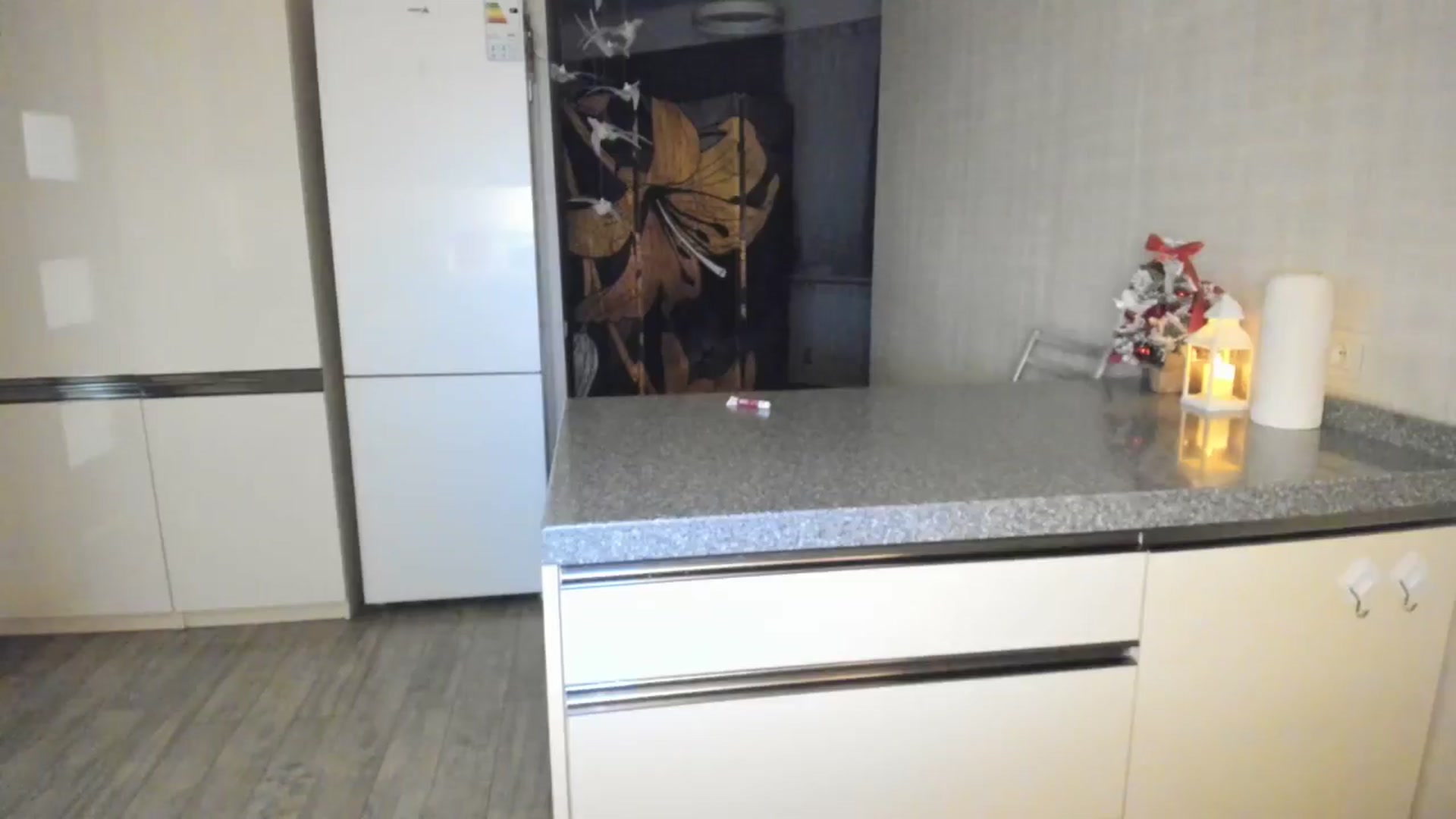 Gallery image thumbnail from Elfleur's myfreecams stream on, 12/29/2024, 24:09 image 20 of 20