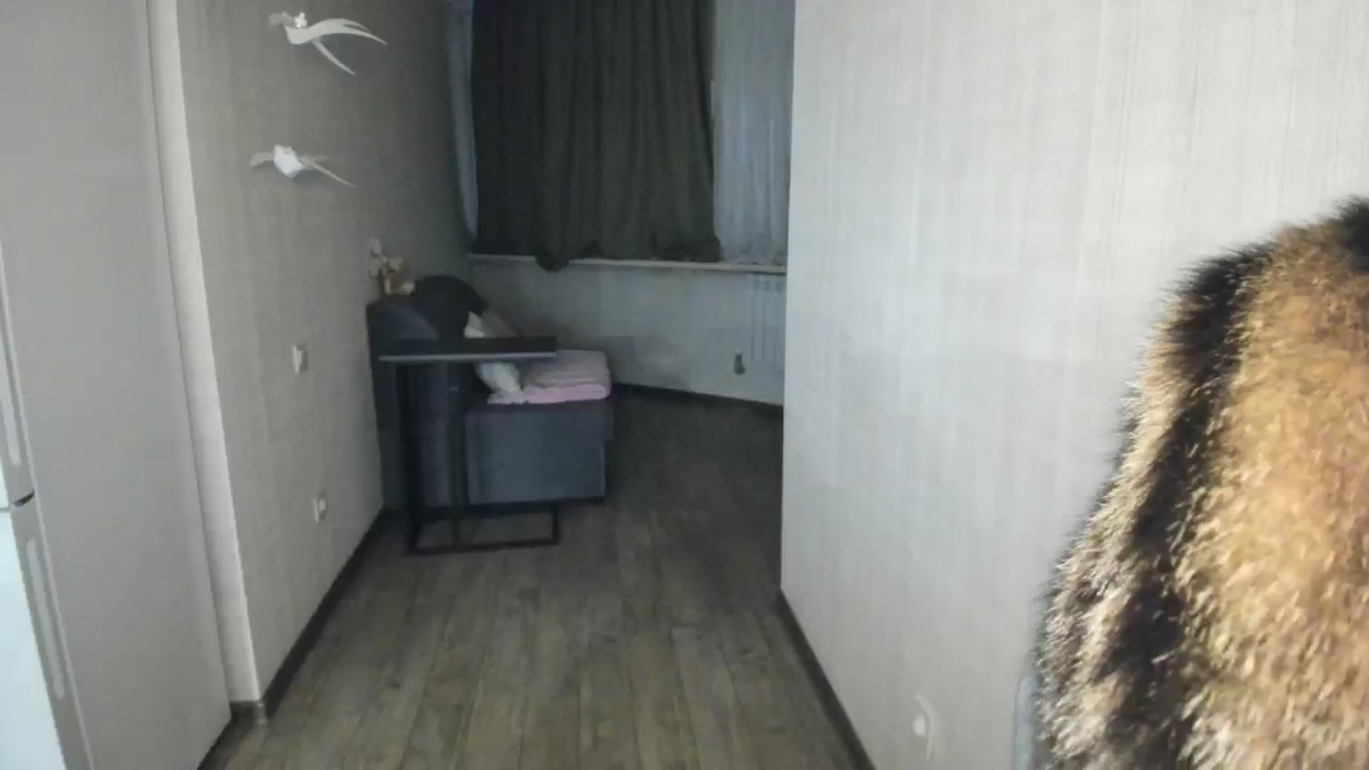 Gallery image thumbnail from Elfleur's myfreecams stream on, 01/07/2025, 20:19 image 17 of 20