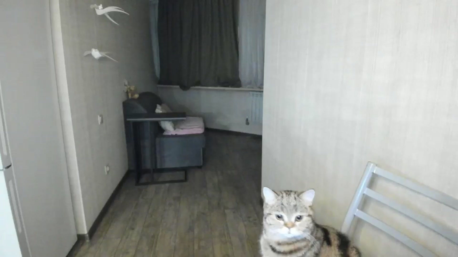 Gallery image thumbnail from Elfleur's myfreecams stream on, 01/07/2025, 20:19 image 18 of 20