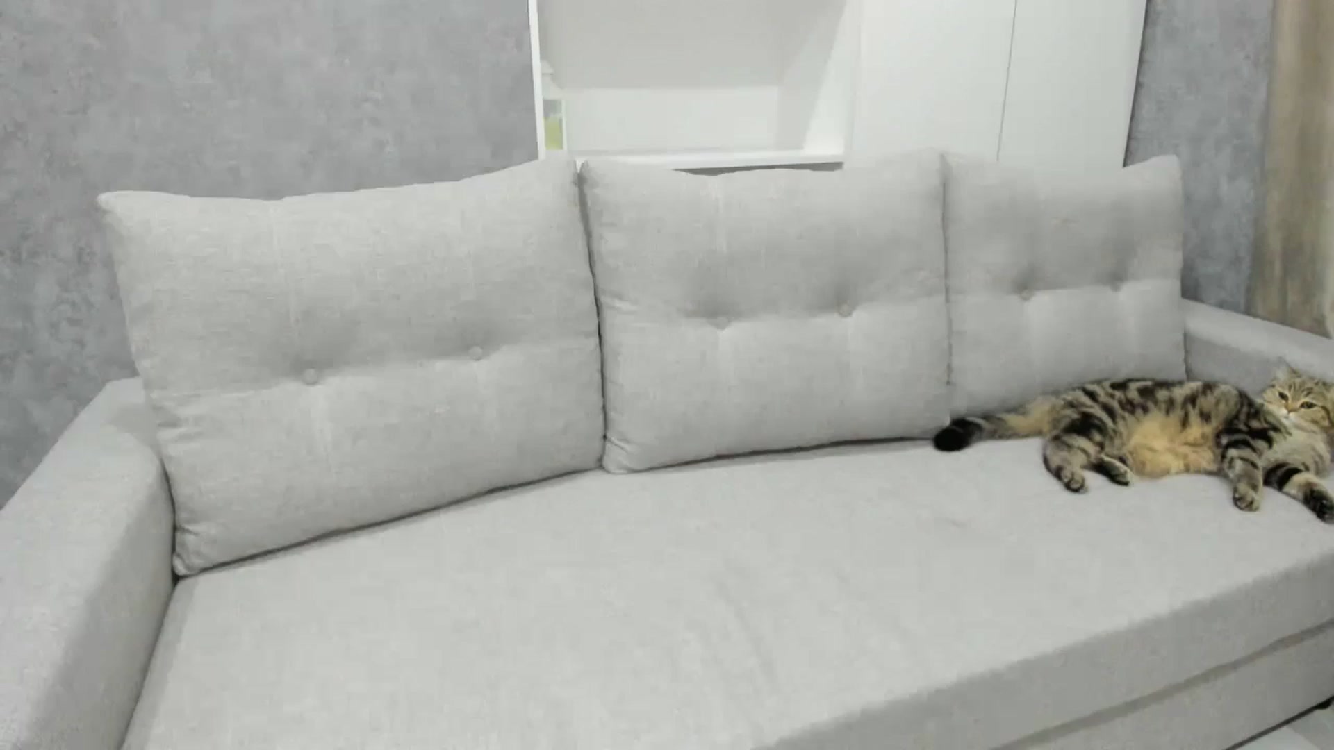 Gallery image thumbnail from Elfleur's myfreecams stream on, 02/25/2025, 17:09 image 1 of 20