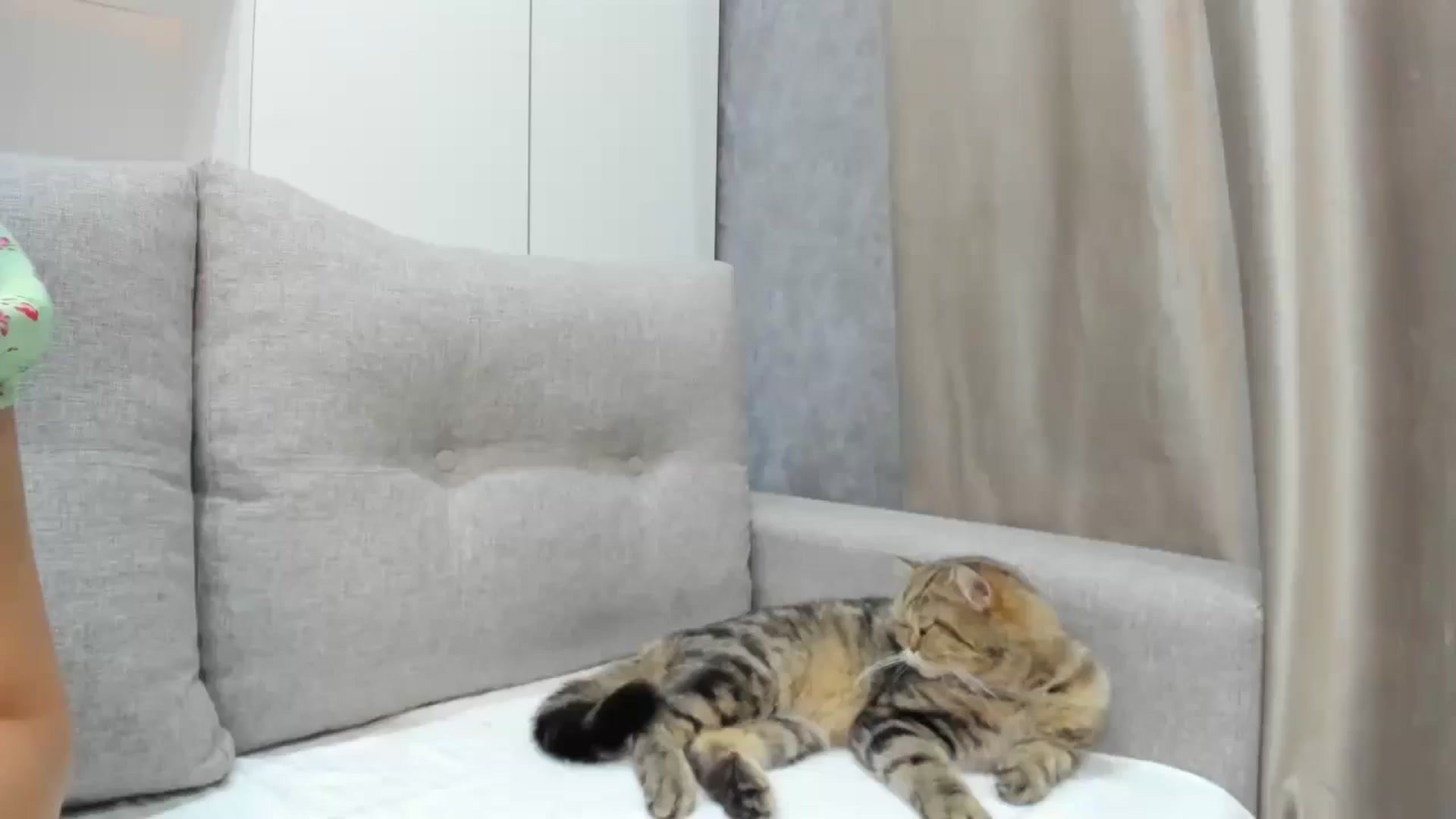 Gallery image thumbnail from Elfleur's myfreecams stream on, 06/09/2025, 21:59 image 17 of 20