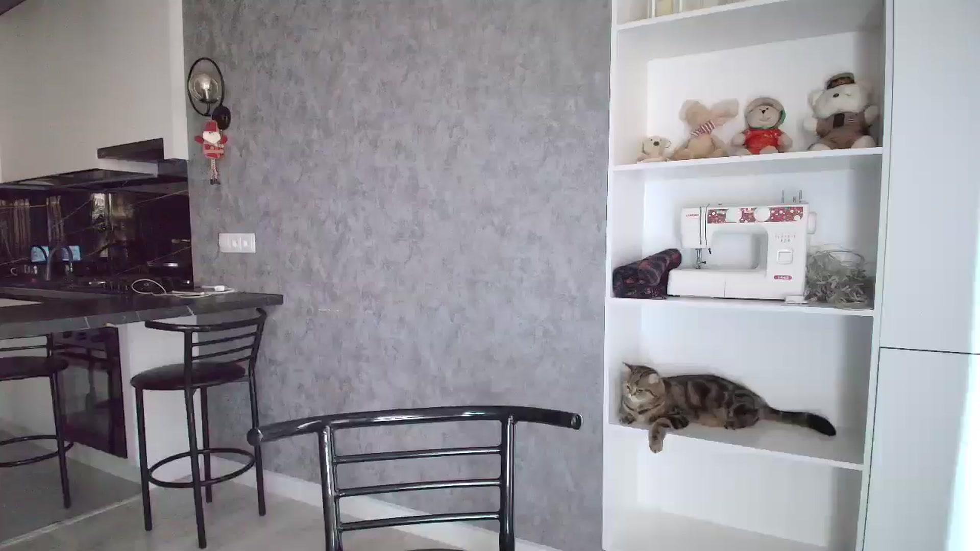 Gallery image thumbnail from Elfleur's myfreecams stream on, 12/02/2025, 06:55 image 3 of 20