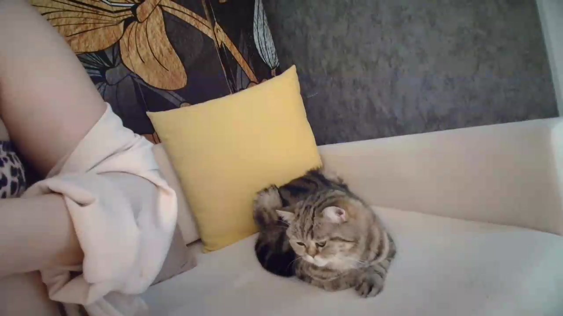 Gallery image thumbnail from Elfleur's myfreecams stream on, 05/22/2026, 04:26 image 14 of 20