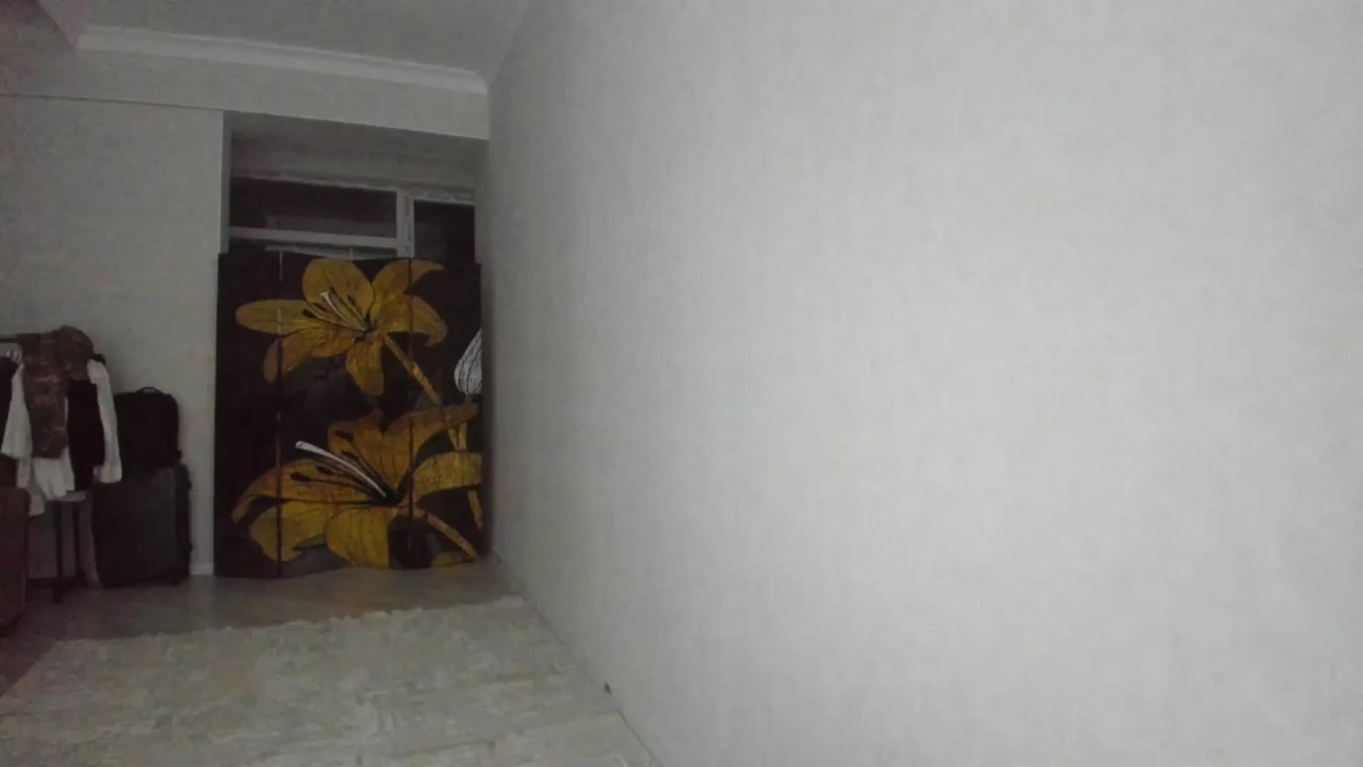 Gallery image thumbnail from Elfleurit's myfreecams stream on, 09/05/2023, 18:50 image 2 of 20