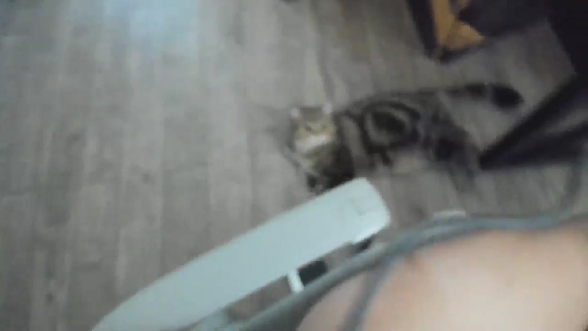 Gallery image thumbnail from Elfleurit's myfreecams stream on, 07/10/2024, 23:47 image 10 of 20