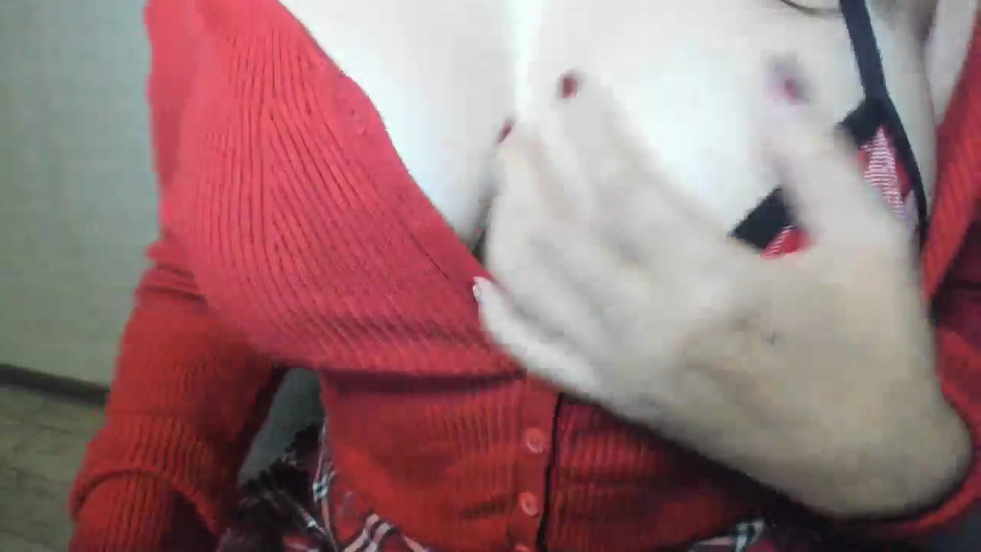Gallery image thumbnail from Elfleurit's myfreecams stream on, 08/31/2024, 22:31 image 13 of 20