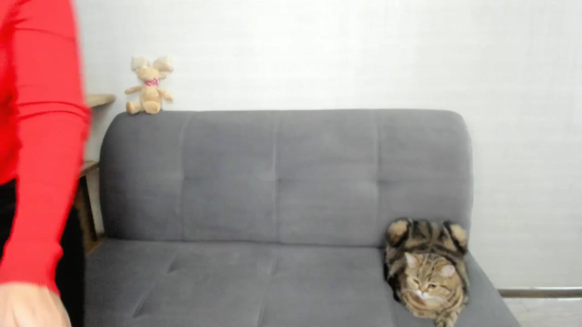 Gallery image thumbnail from Elfleurit's myfreecams stream on, 12/01/2024, 08:53 image 4 of 20