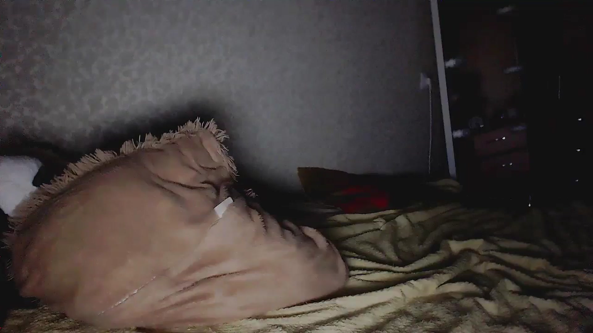 Gallery image thumbnail from EliseFoxx's myfreecams stream on, 09/20/2023, 13:45 image 19 of 20