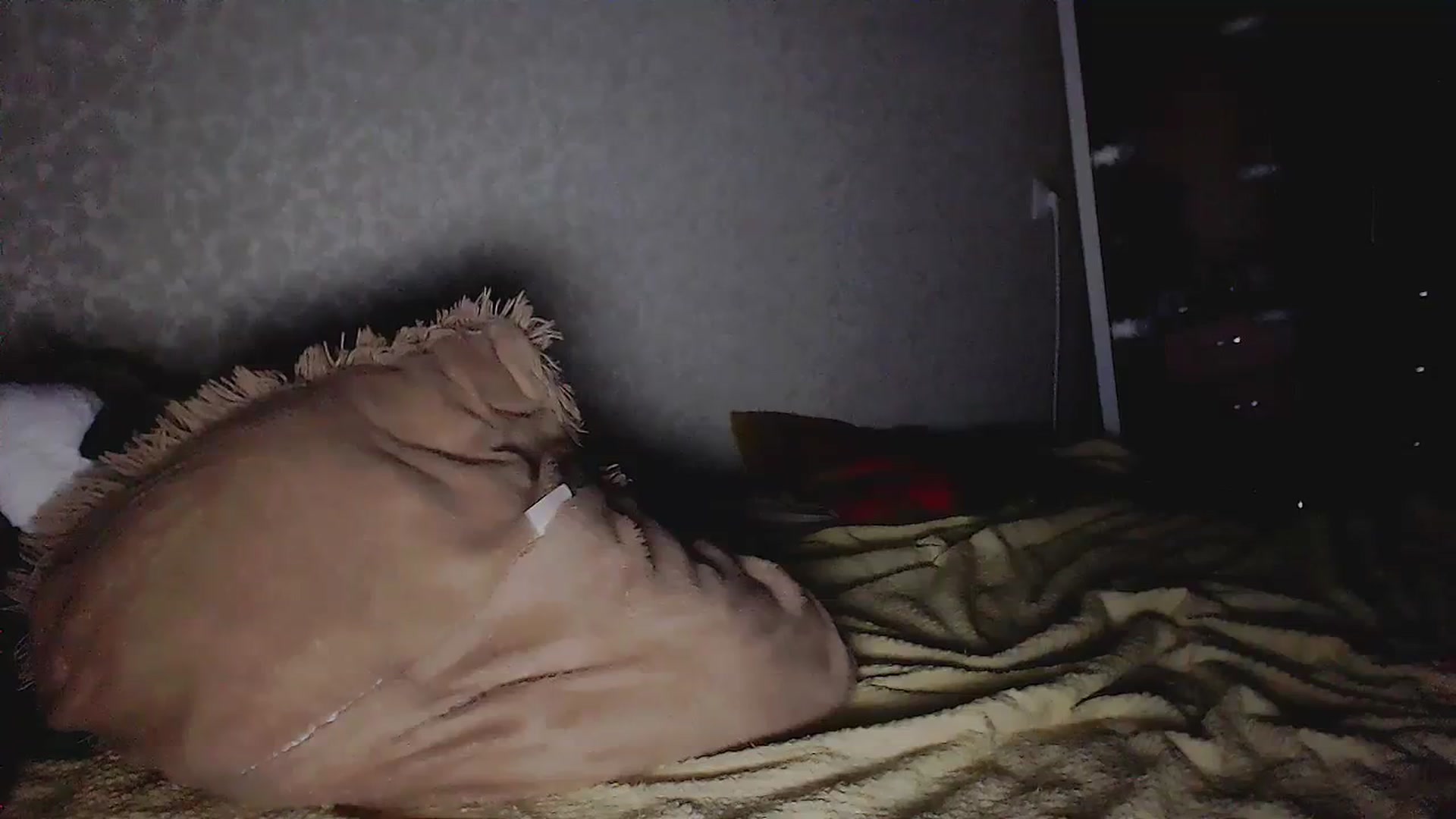 Gallery image thumbnail from EliseFoxx's myfreecams stream on, 09/20/2023, 13:45 image 20 of 20