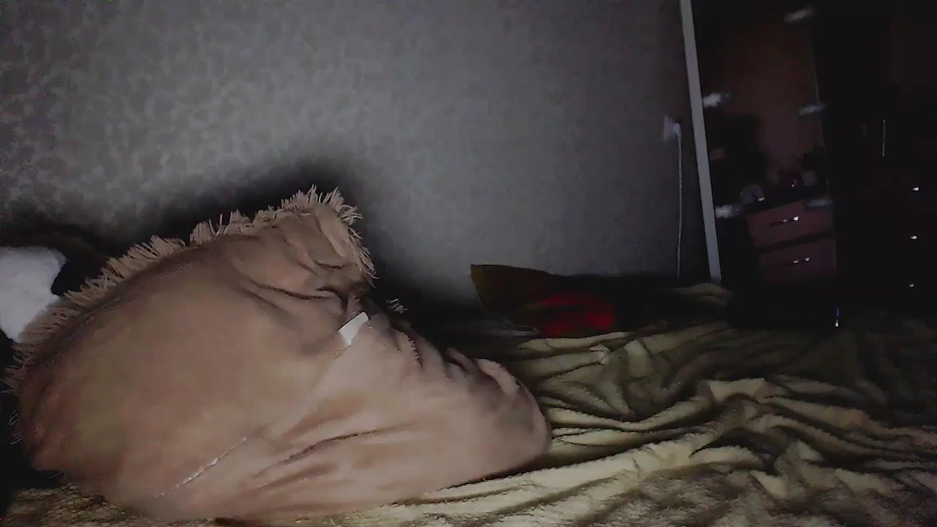 Gallery image thumbnail from EliseFoxx's myfreecams stream on, 09/20/2023, 13:45 image 18 of 20