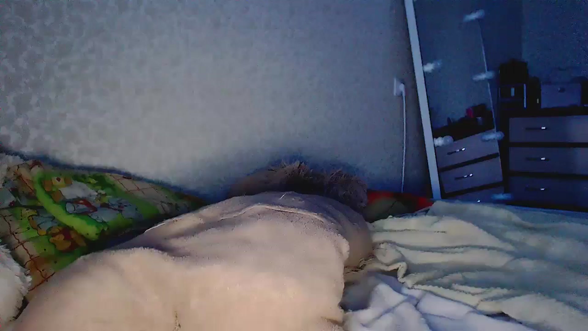 Gallery image thumbnail from EliseFoxx's myfreecams stream on, 02/09/2024, 02:42 image 18 of 20