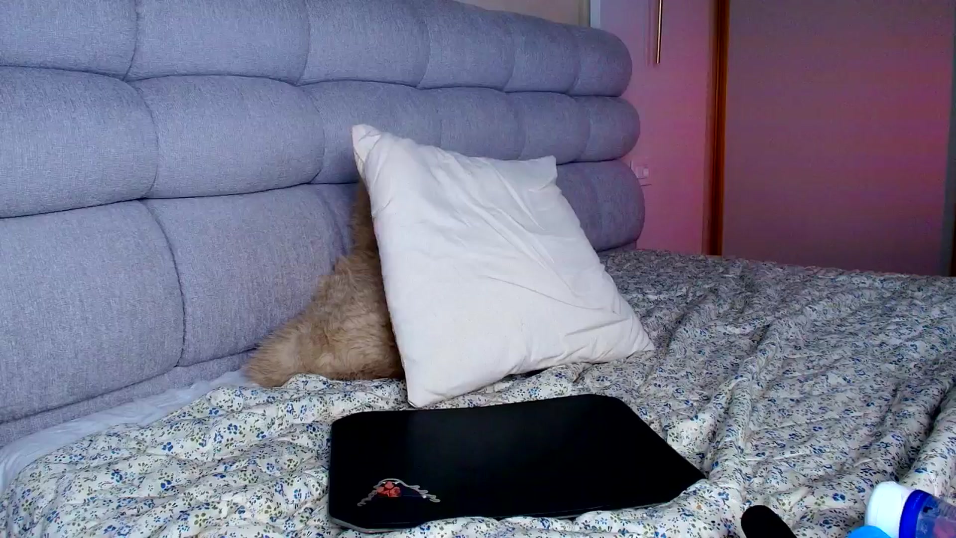 Gallery image thumbnail from Elise_wood's myfreecams stream on, 12/26/2025, 09:38 image 15 of 20