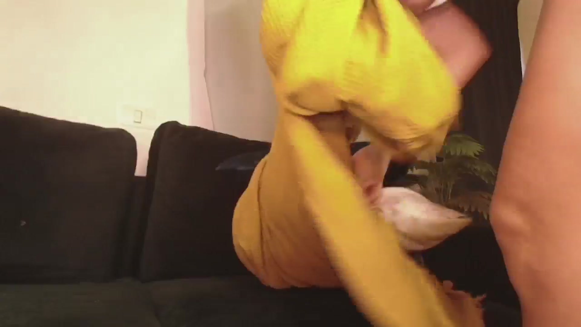 Gallery image thumbnail from ElissaBeats's myfreecams stream on, 03/26/2026, 04:25 image 16 of 20