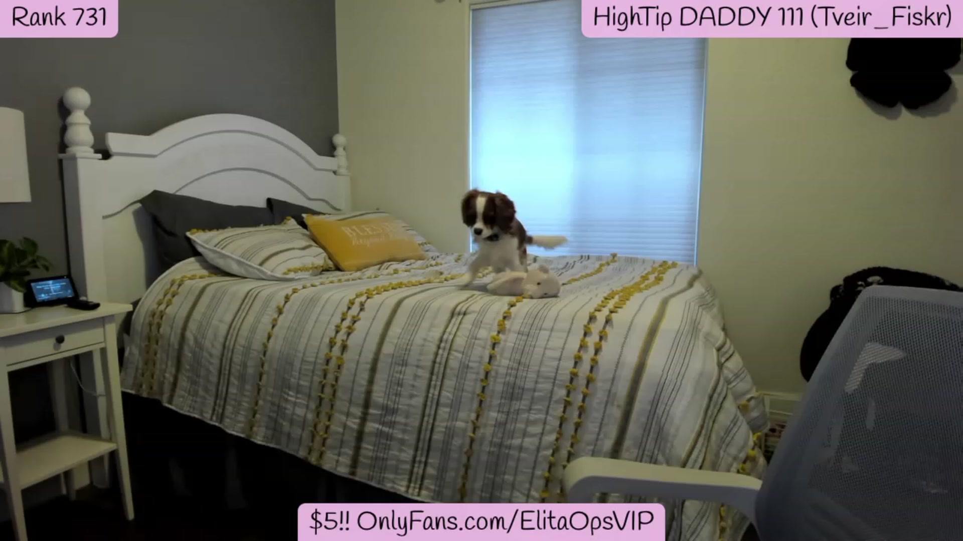 Gallery image thumbnail from ElitaOps's myfreecams stream on, 12/20/2022, 19:01 image 5 of 20