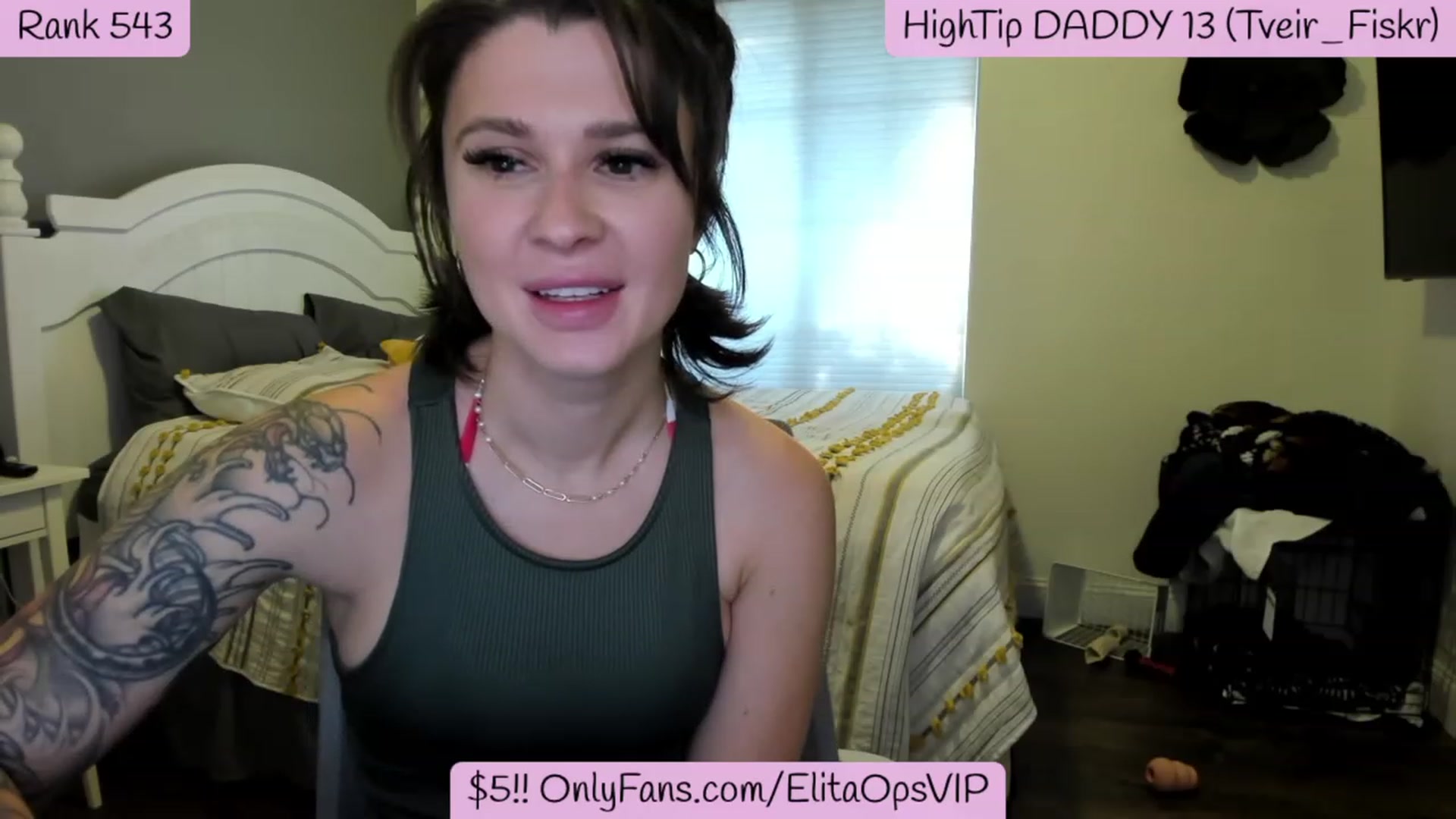 Gallery image thumbnail from ElitaOps's myfreecams stream on, 12/23/2022, 23:20 image 17 of 20